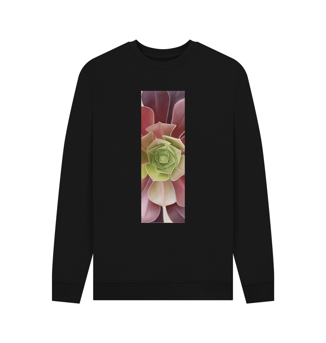 Black Men\u2019s green to purple succulent banner sweater.