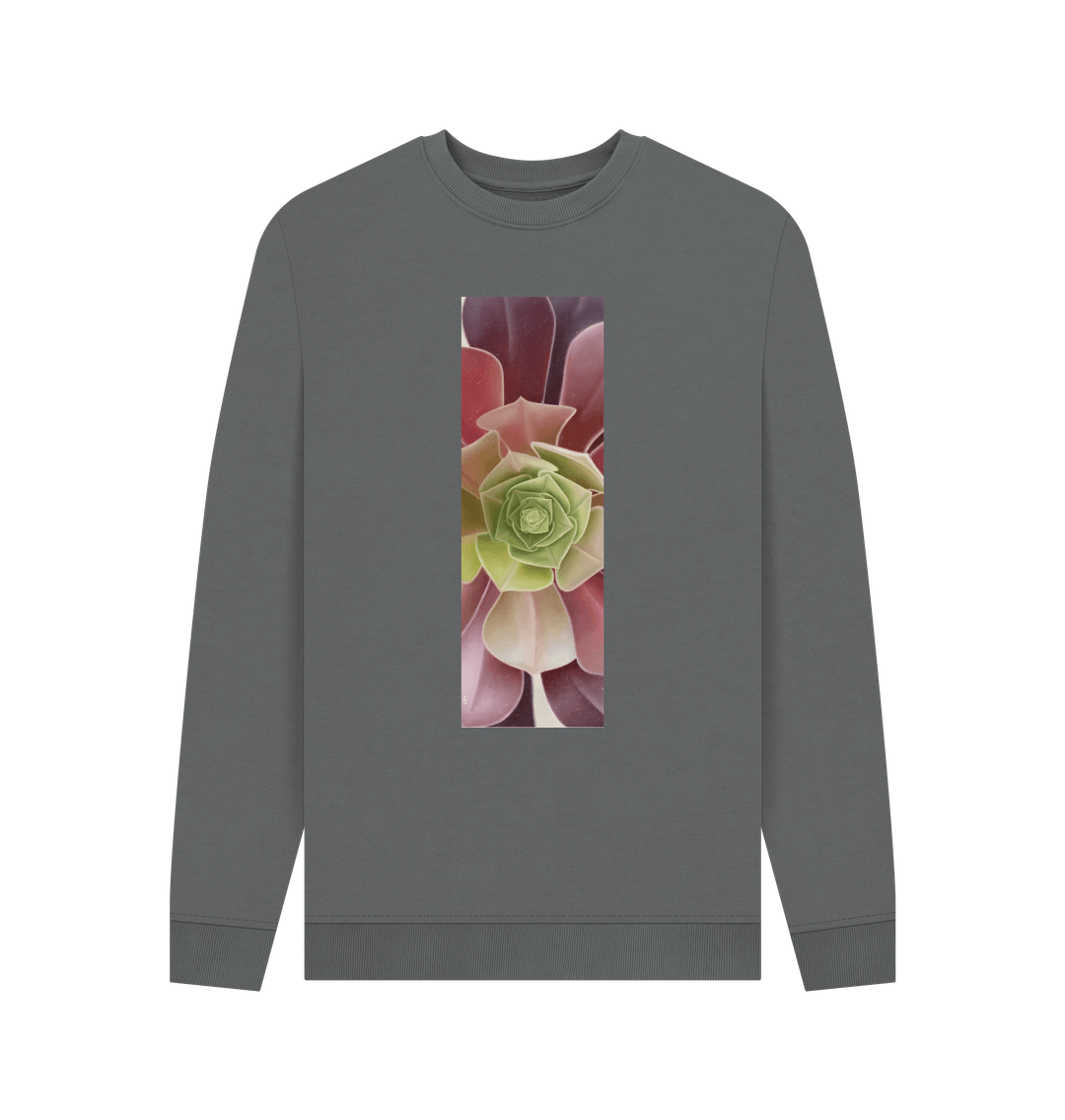 Slate Grey Men\u2019s green to purple succulent banner sweater.