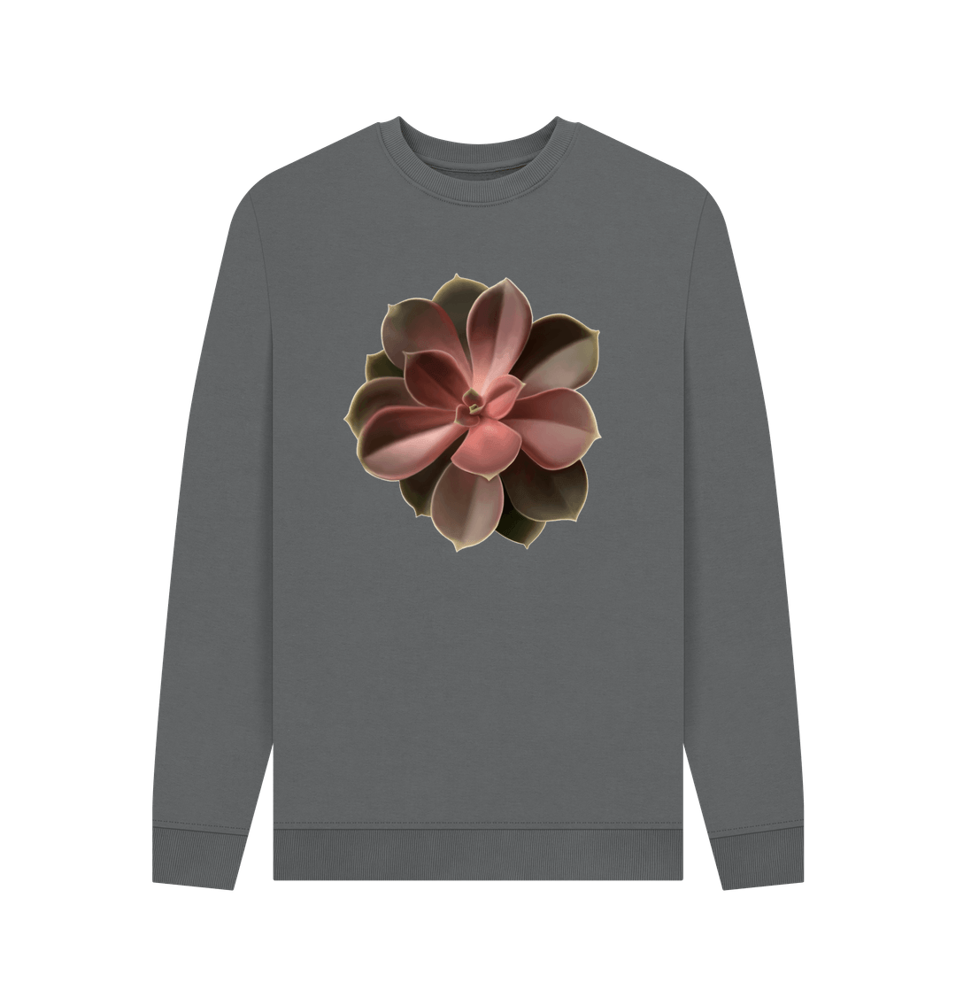 Slate Grey Men\u2019s Red to green ombre succulent sweatshirt.