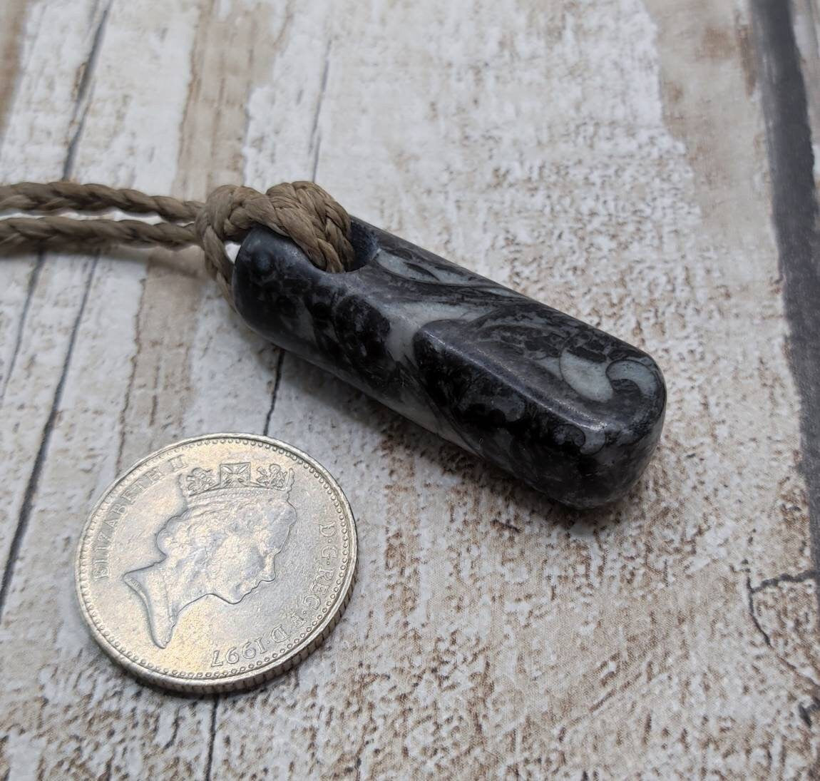 Goniatite ammonite and orthoseras bedrock roimata pendant.