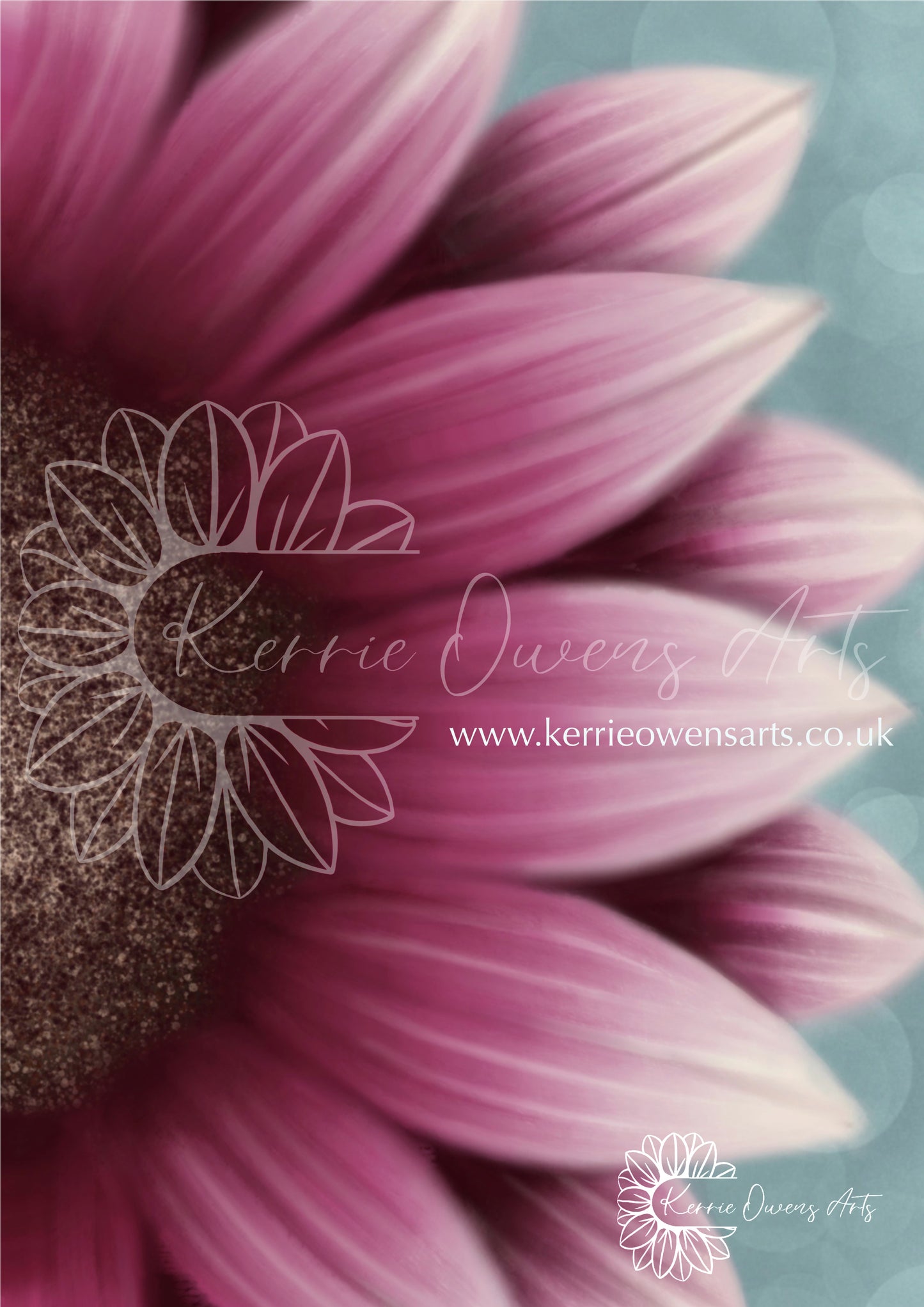 Pink sunflower petal left view digital download.