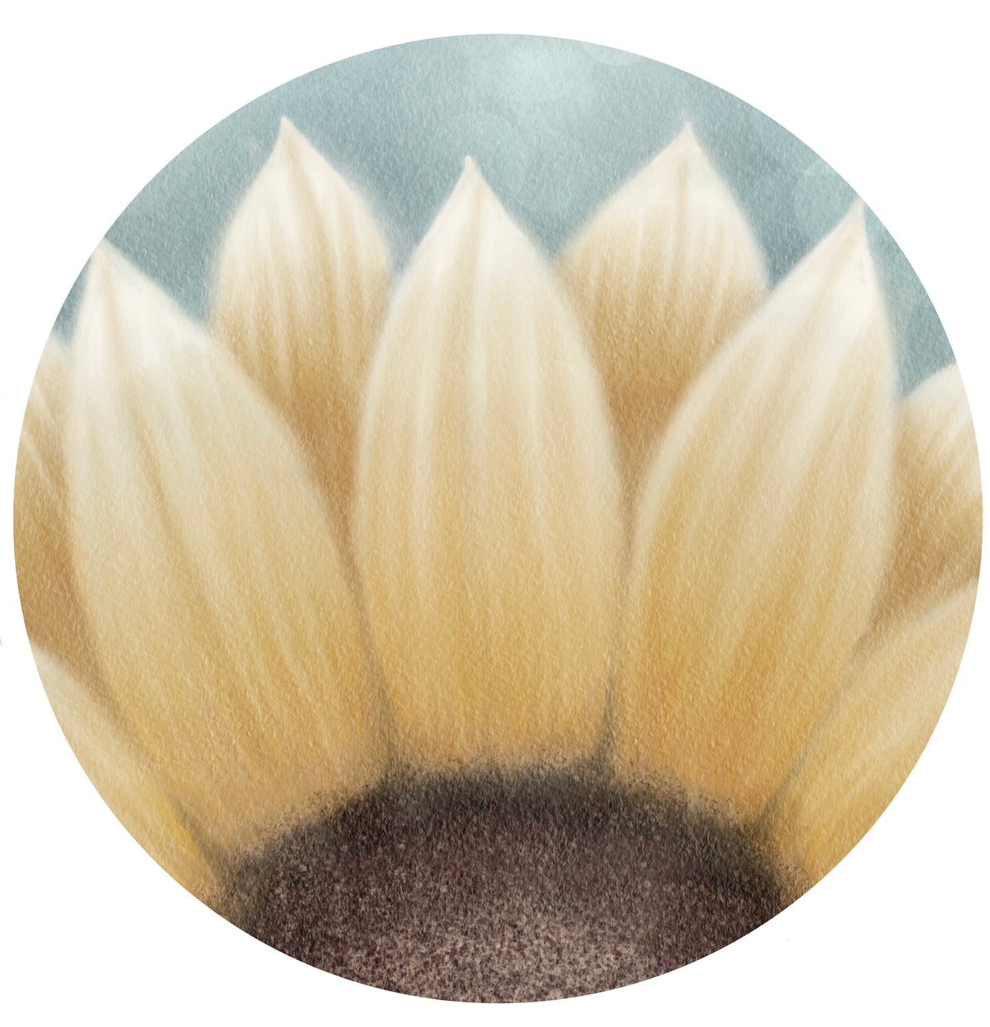 Yellow sunflower side view illustration digital download.
