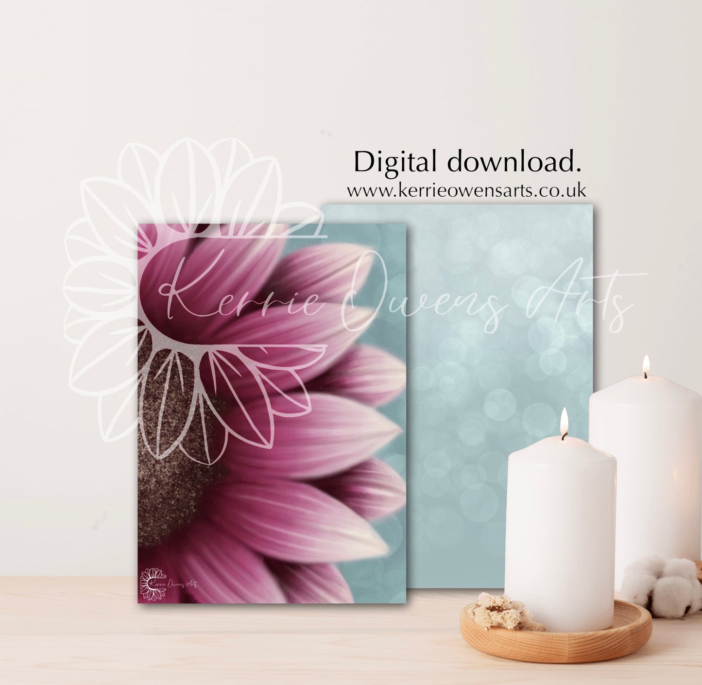Pink sunflower petal left view digital download.