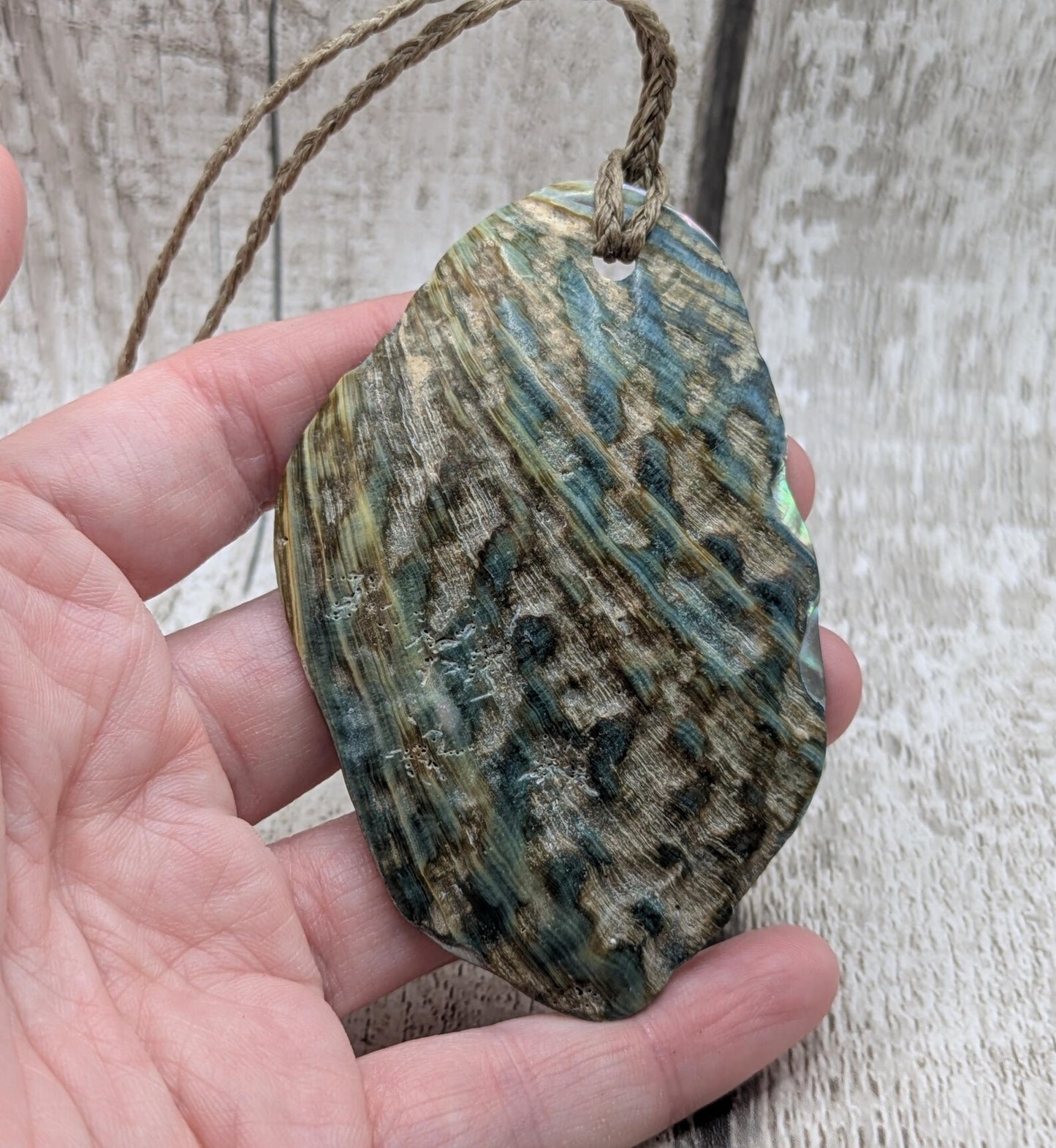 Large Freeform NZ Pāua Shell Pendant – Iridescent Abalone Statement Necklace, Natural statement Beach Jewellery.