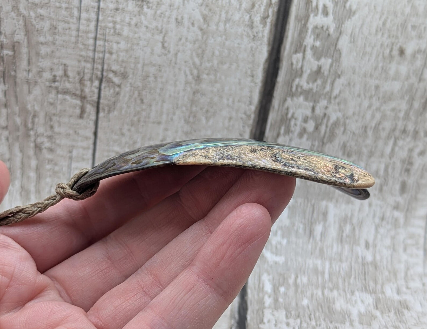 Large Freeform NZ Pāua Shell Pendant – Iridescent Abalone Statement Necklace, Natural statement Beach Jewellery.