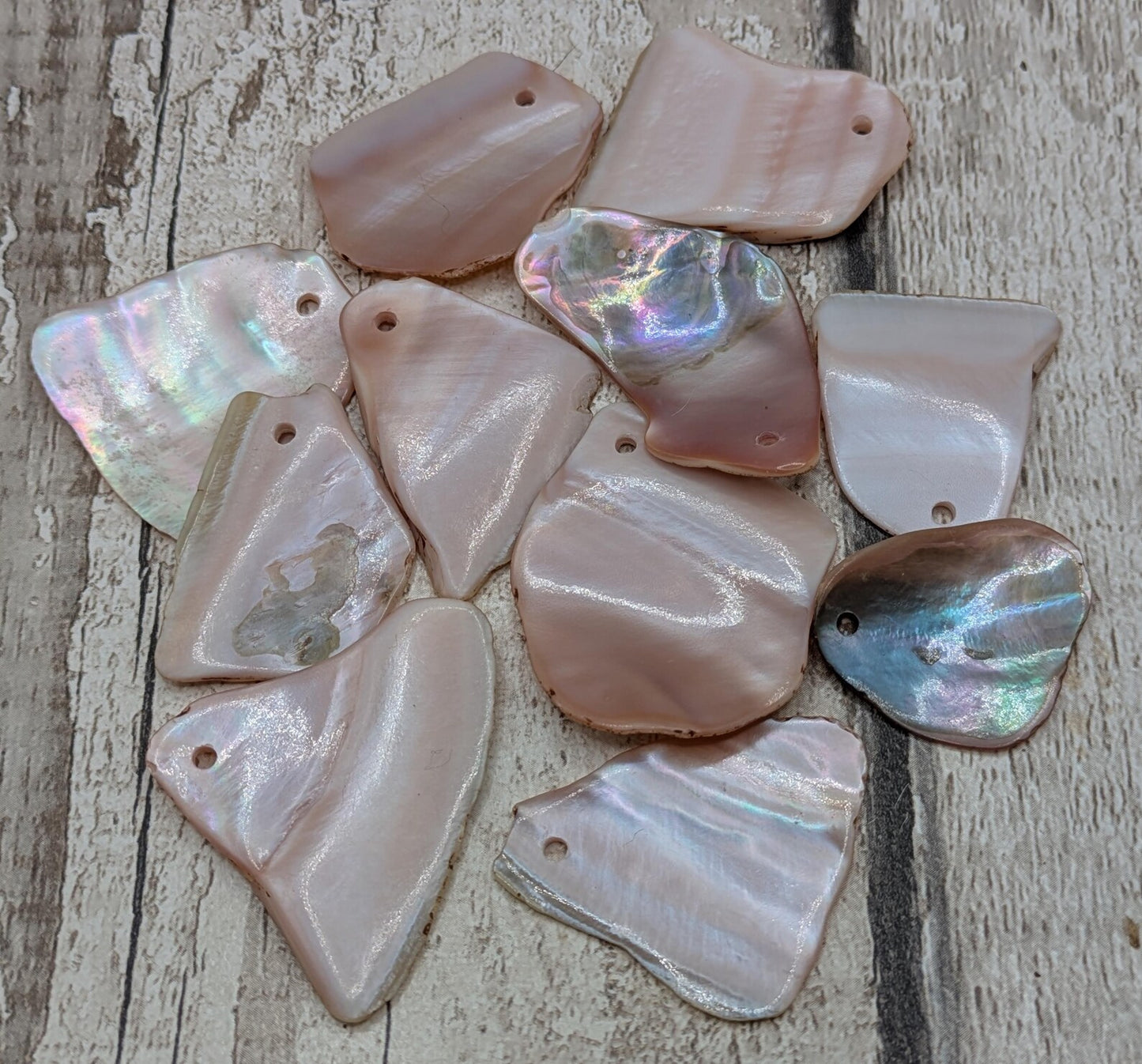 10 New Zealand Freshwater Mussel Shell Pendant Beads, Tumbled, Drilled & Polished, Natural Iridescent, Pearlescent Craft Beads for Jewellery