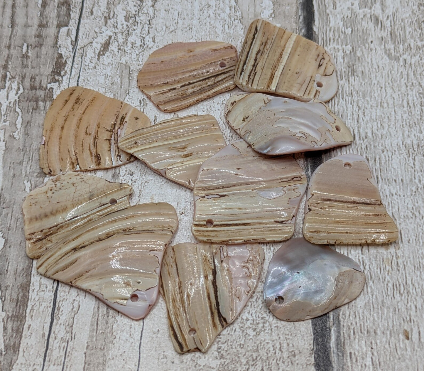 10 New Zealand Freshwater Mussel Shell Pendant Beads, Tumbled, Drilled & Polished, Natural Iridescent, Pearlescent Craft Beads for Jewellery