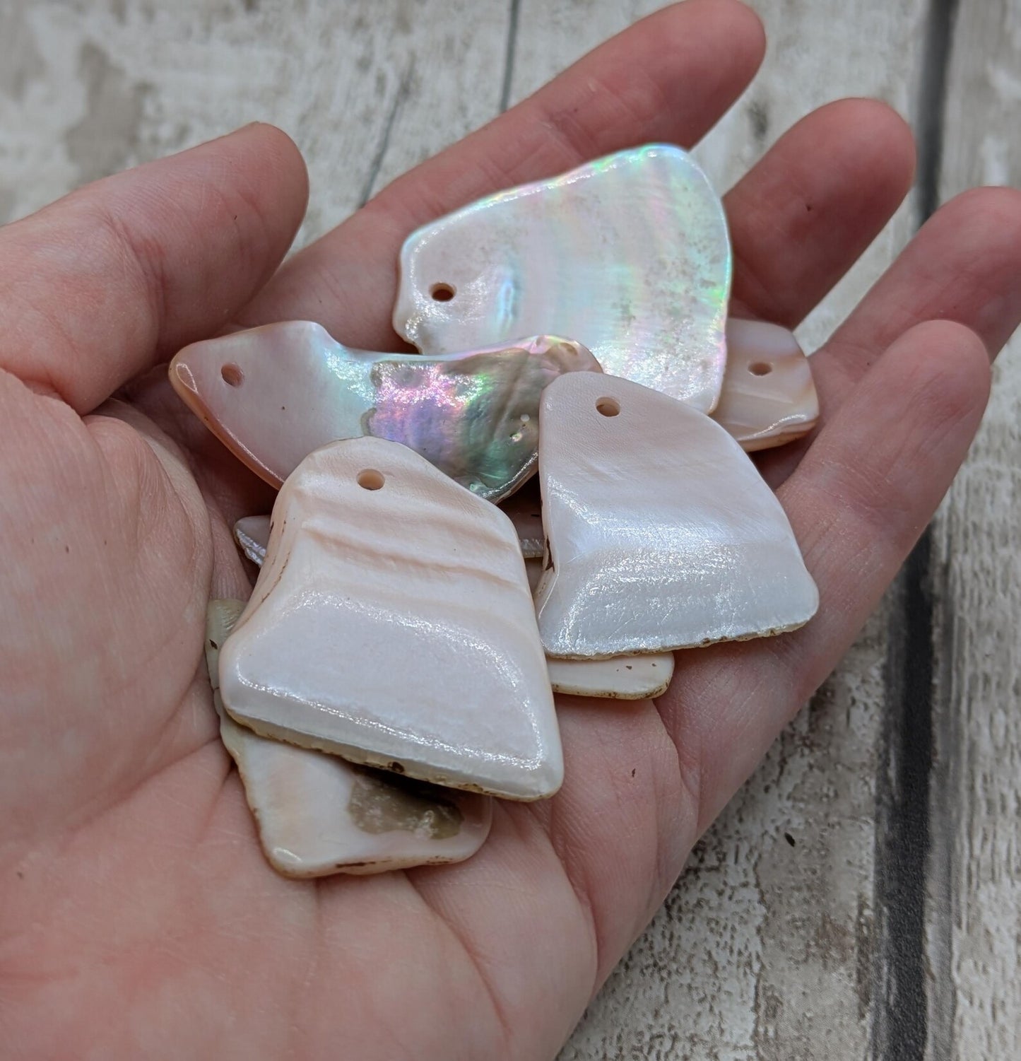 10 New Zealand Freshwater Mussel Shell Pendant Beads, Tumbled, Drilled & Polished, Natural Iridescent, Pearlescent Craft Beads for Jewellery