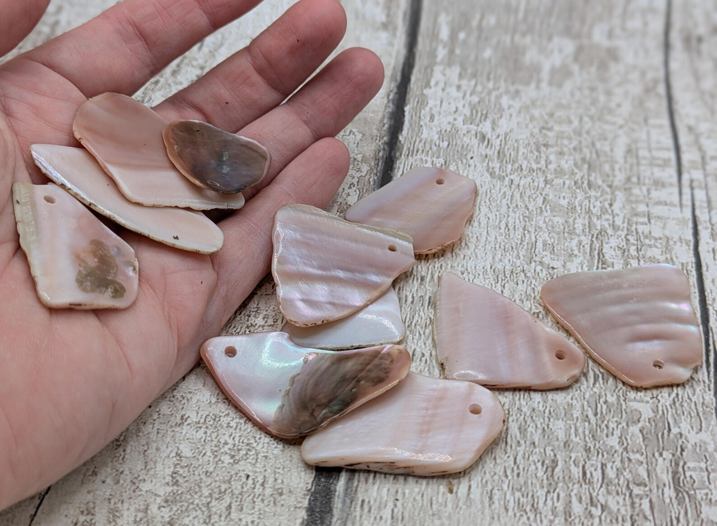 10 New Zealand Freshwater Mussel Shell Pendant Beads, Tumbled, Drilled & Polished, Natural Iridescent, Pearlescent Craft Beads for Jewellery