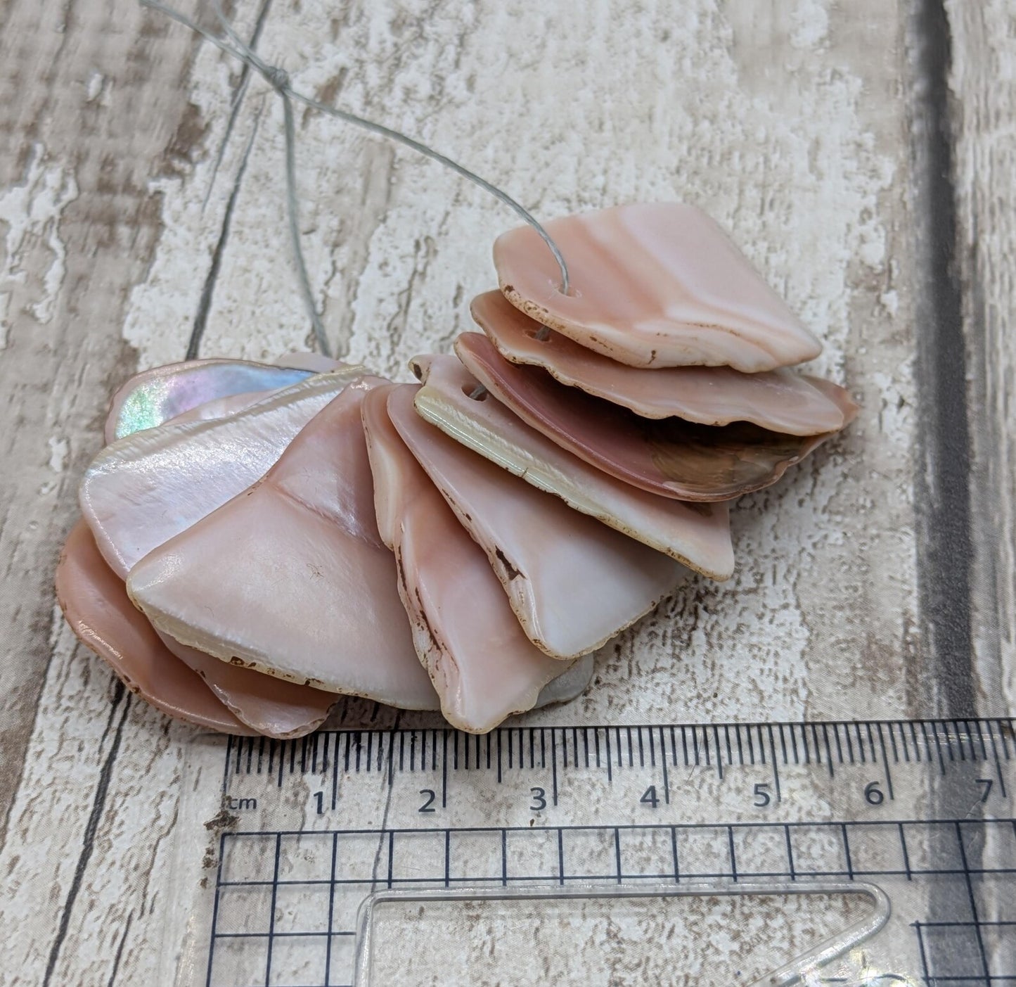 10 New Zealand Freshwater Mussel Shell Pendant Beads, Tumbled, Drilled & Polished, Natural Iridescent, Pearlescent Craft Beads for Jewellery