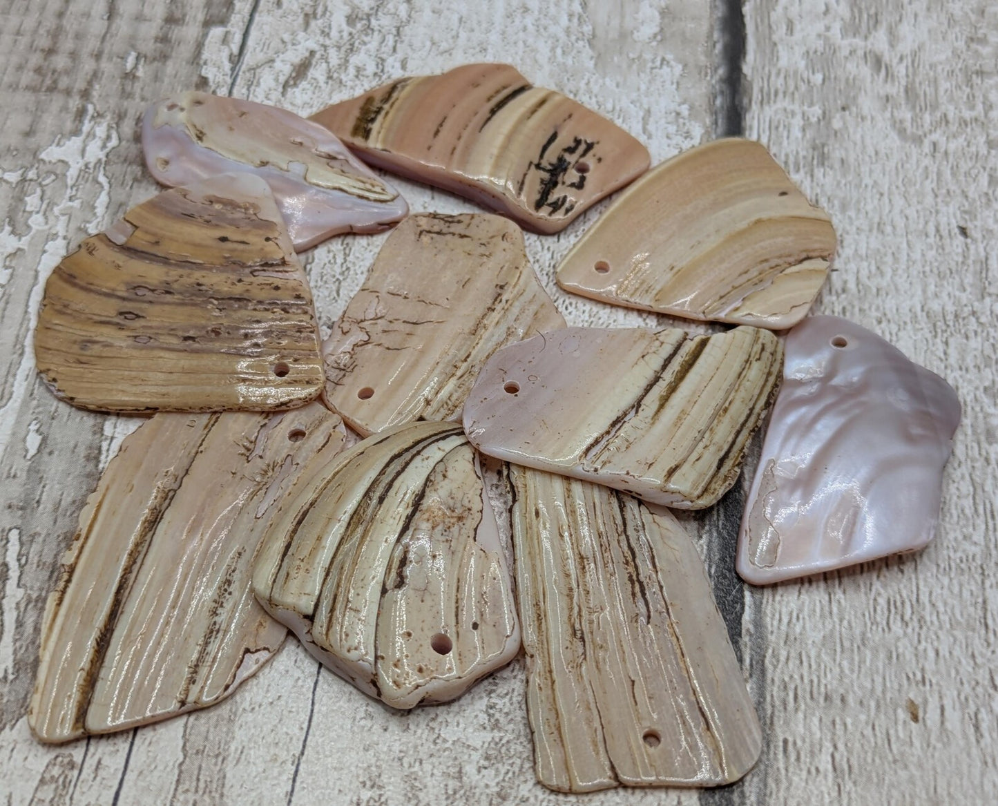 10 New Zealand Freshwater Mussel Shell Pendant Beads, Tumbled, Drilled & Polished, Natural Iridescent, Pearlescent Craft Beads for Jewellery