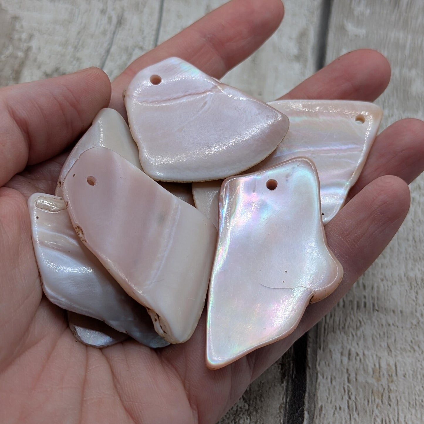 10 New Zealand Freshwater Mussel Shell Pendant Beads, Tumbled, Drilled & Polished, Natural Iridescent, Pearlescent Craft Beads for Jewellery