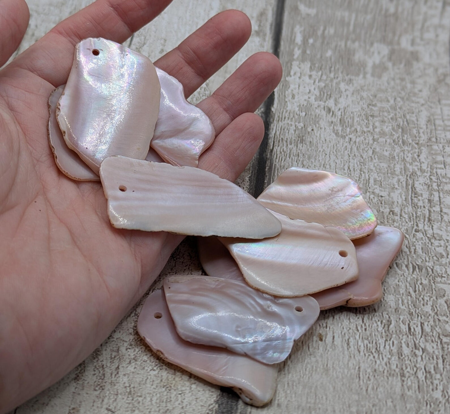10 New Zealand Freshwater Mussel Shell Pendant Beads, Tumbled, Drilled & Polished, Natural Iridescent, Pearlescent Craft Beads for Jewellery