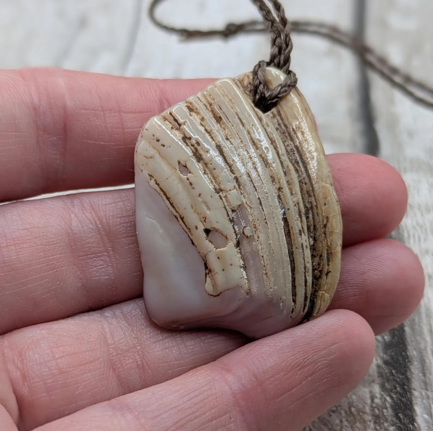 New Zealand Fresh water pink mussel shell pendant.