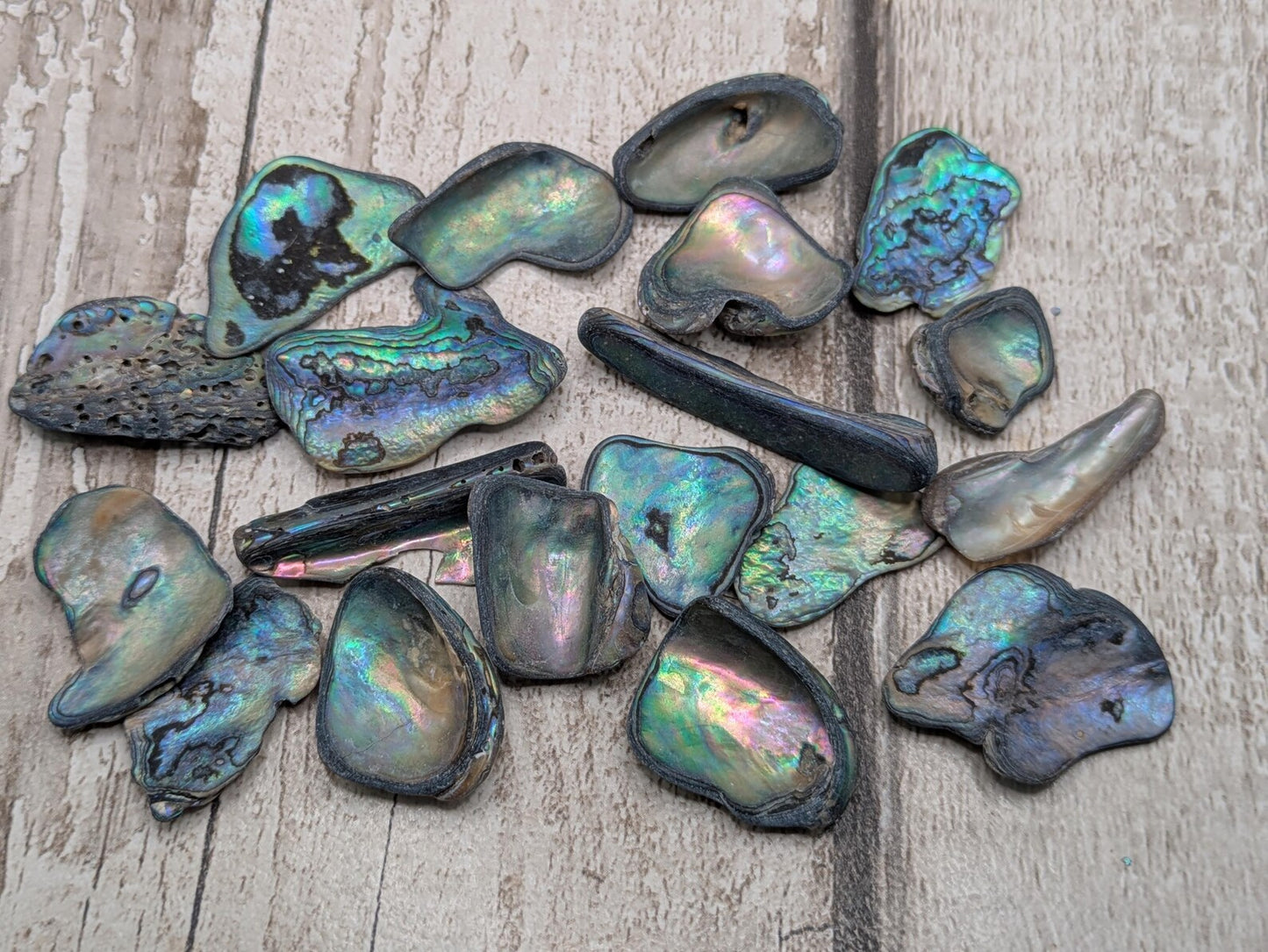 One small wild naturally tumbled New Zealand rainbow Pāua piece