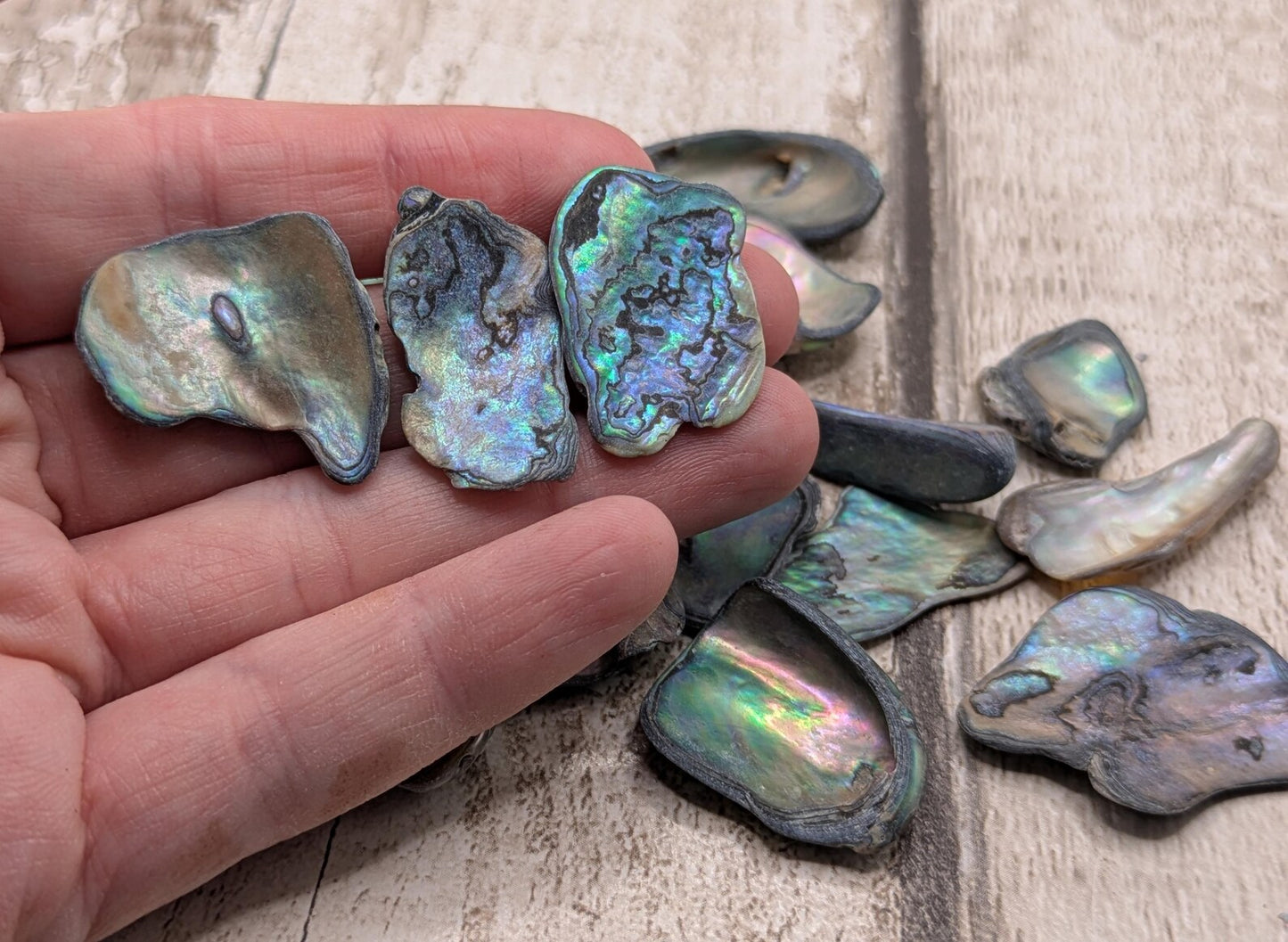 One small wild naturally tumbled New Zealand rainbow Pāua piece
