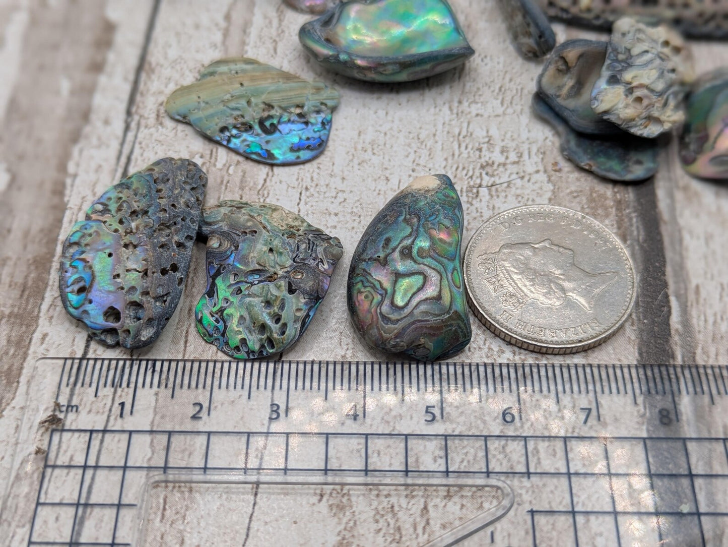 One small wild naturally tumbled New Zealand rainbow Pāua piece