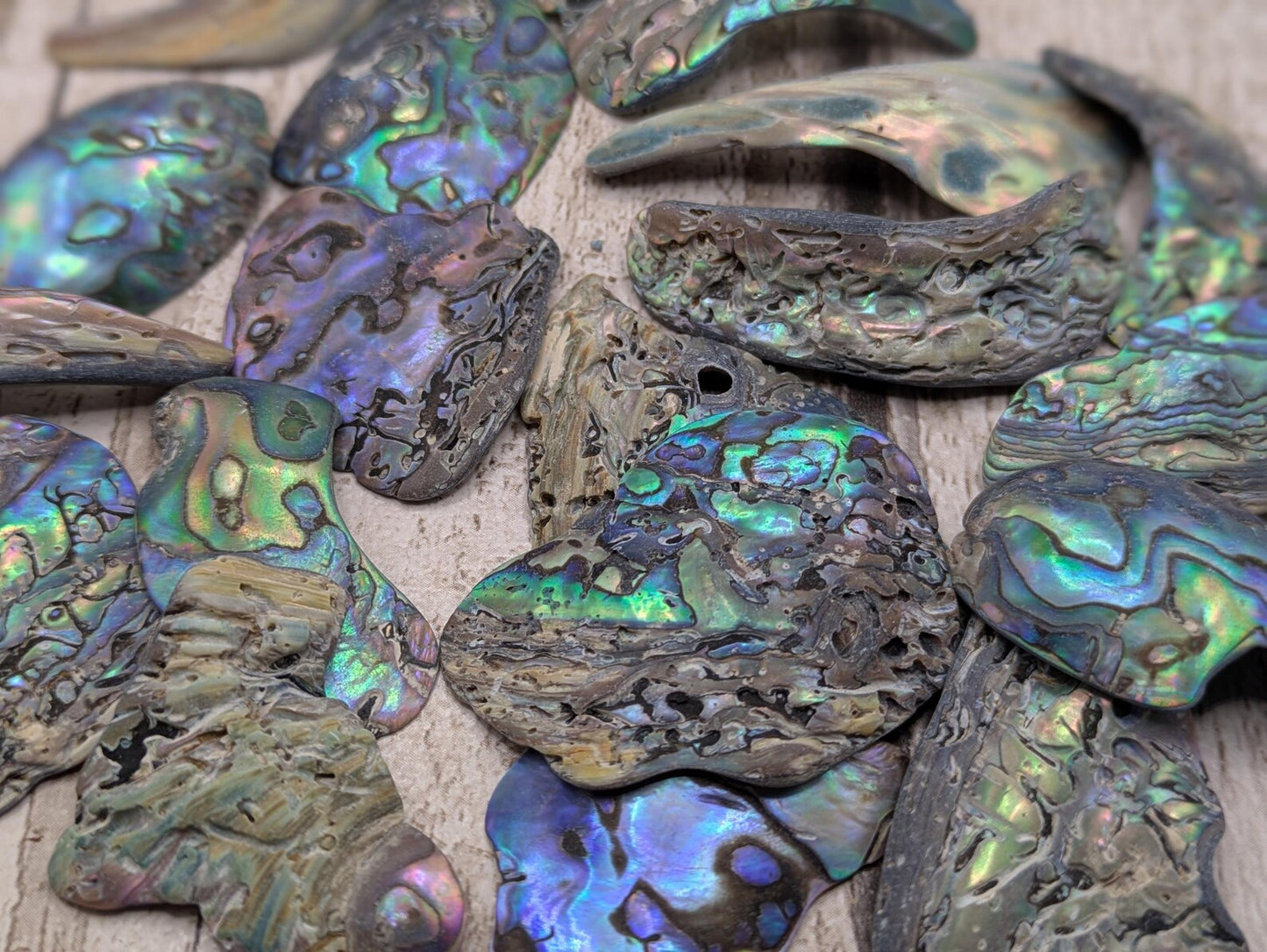 One medium piece of wild New Zealand rainbow Pāua shell.