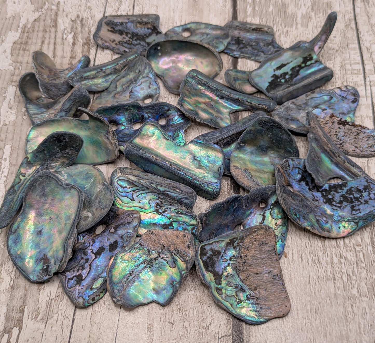 One large piece of New Zealand wild rainbow Pāua abalone shell.
