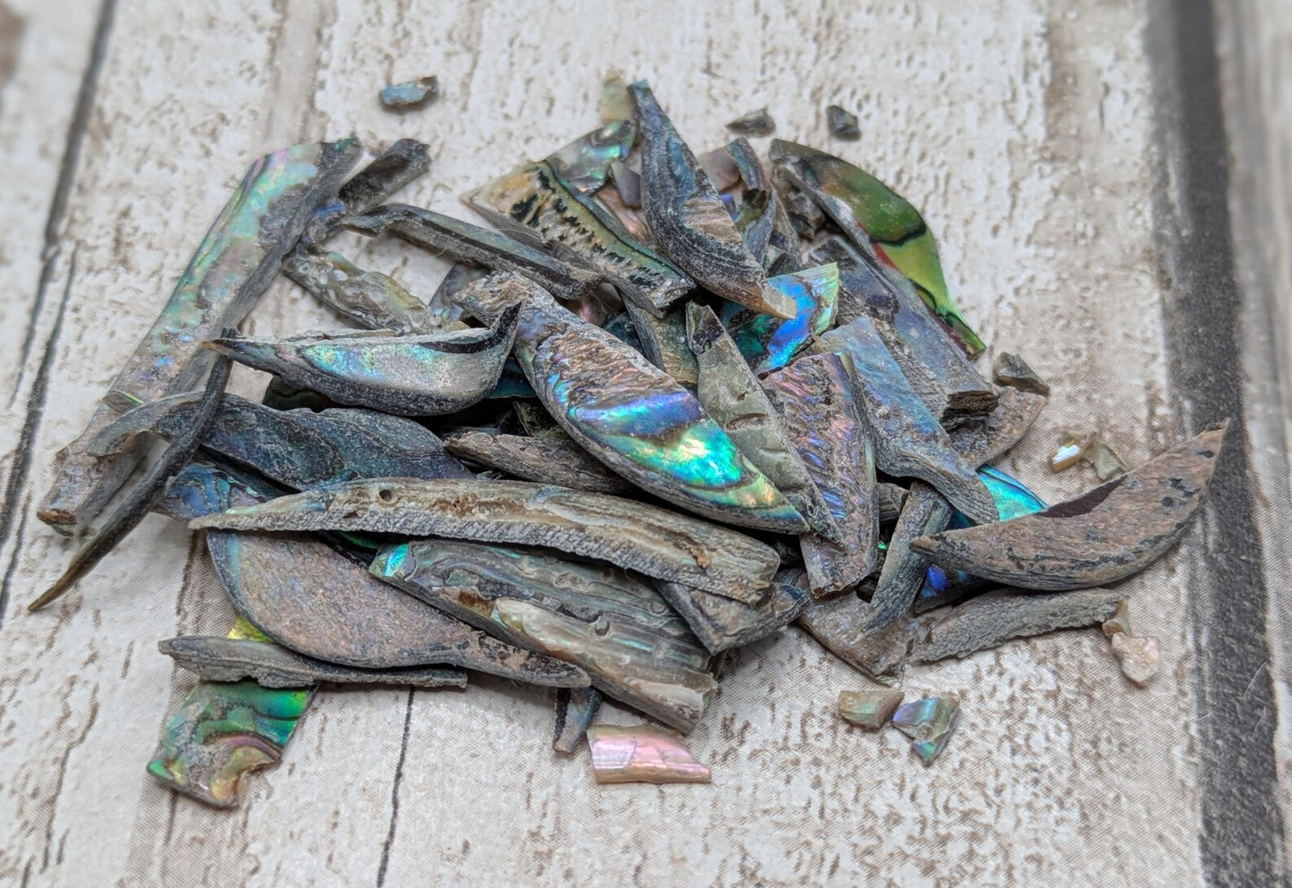 One bottle of New Zealand rainbow Pāua abalone offcuts.