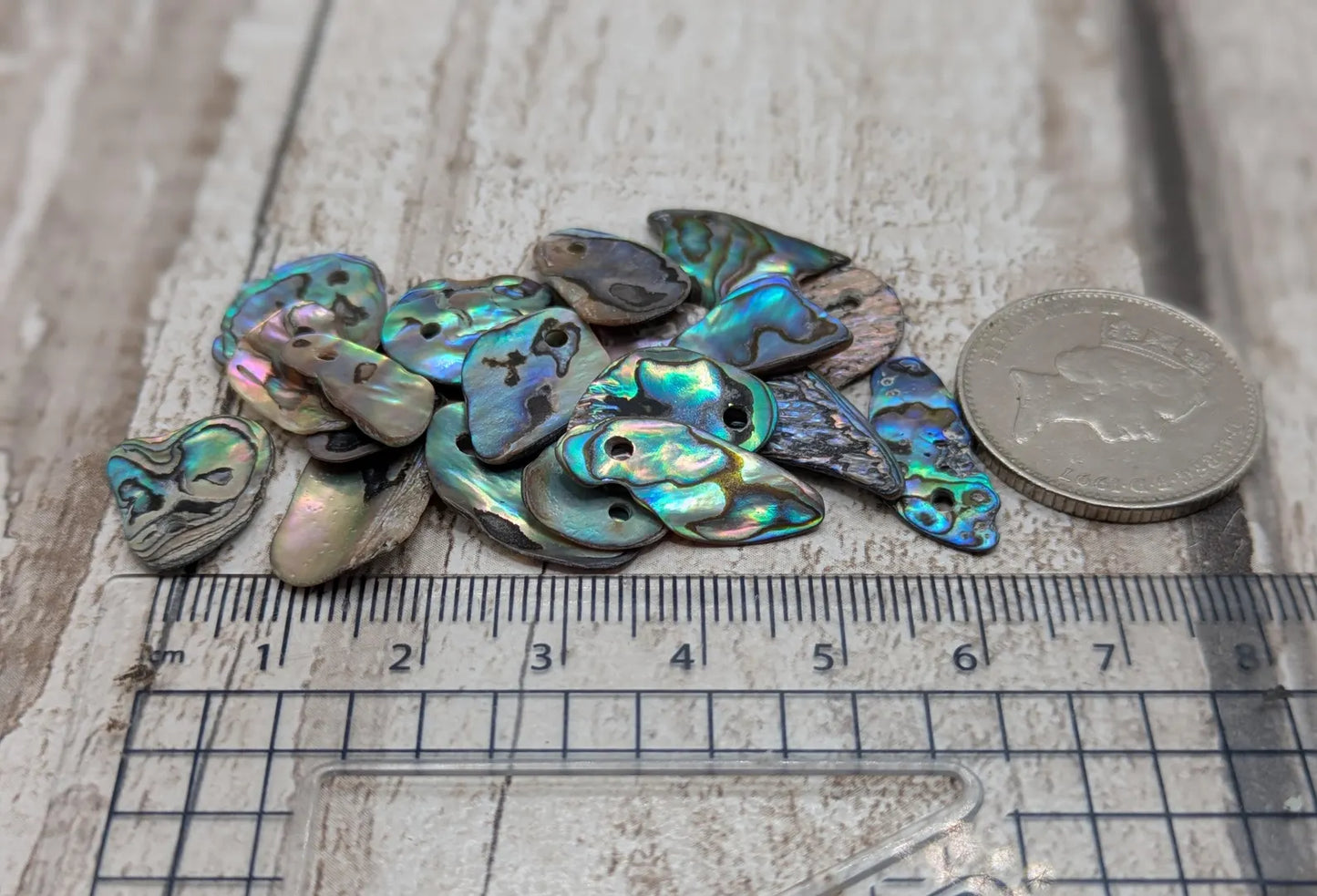 20 Rainbow NZ Pāua Shell Beads – Top-Drilled Natural Abalone for Jewelry Making & Art Projects.