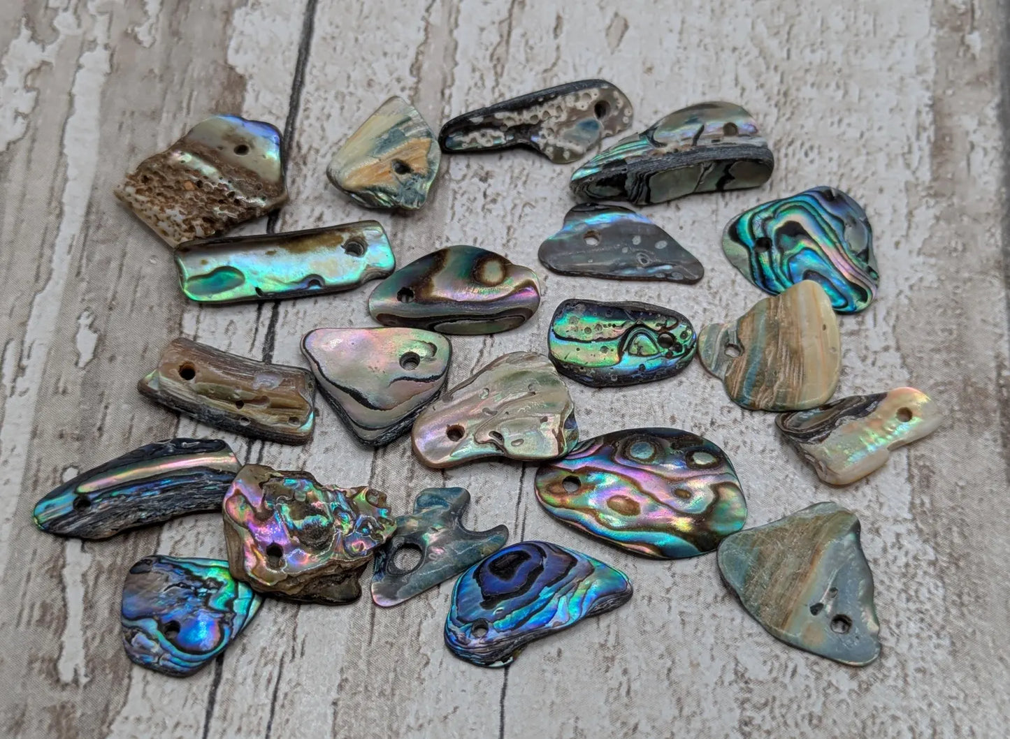 20 Rainbow NZ Pāua Shell Beads – Top-Drilled Natural Abalone for Jewelry Making & Art Projects.