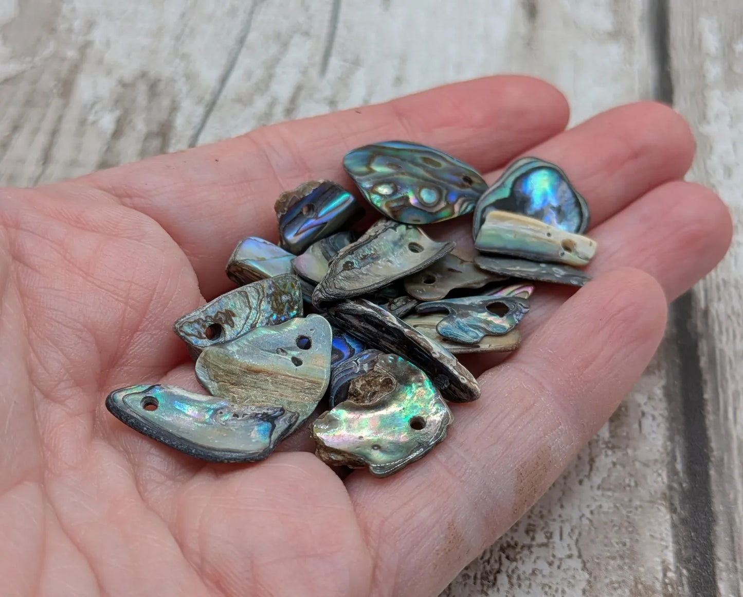 20 Rainbow NZ Pāua Shell Beads – Top-Drilled Natural Abalone for Jewelry Making & Art Projects.