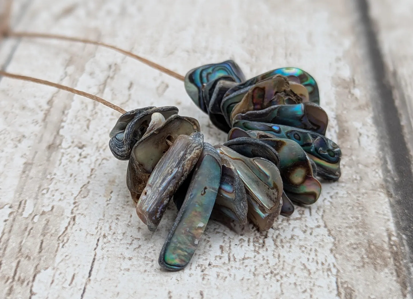 20 Rainbow NZ Pāua Shell Beads – Top-Drilled Natural Abalone for Jewelry Making & Art Projects.