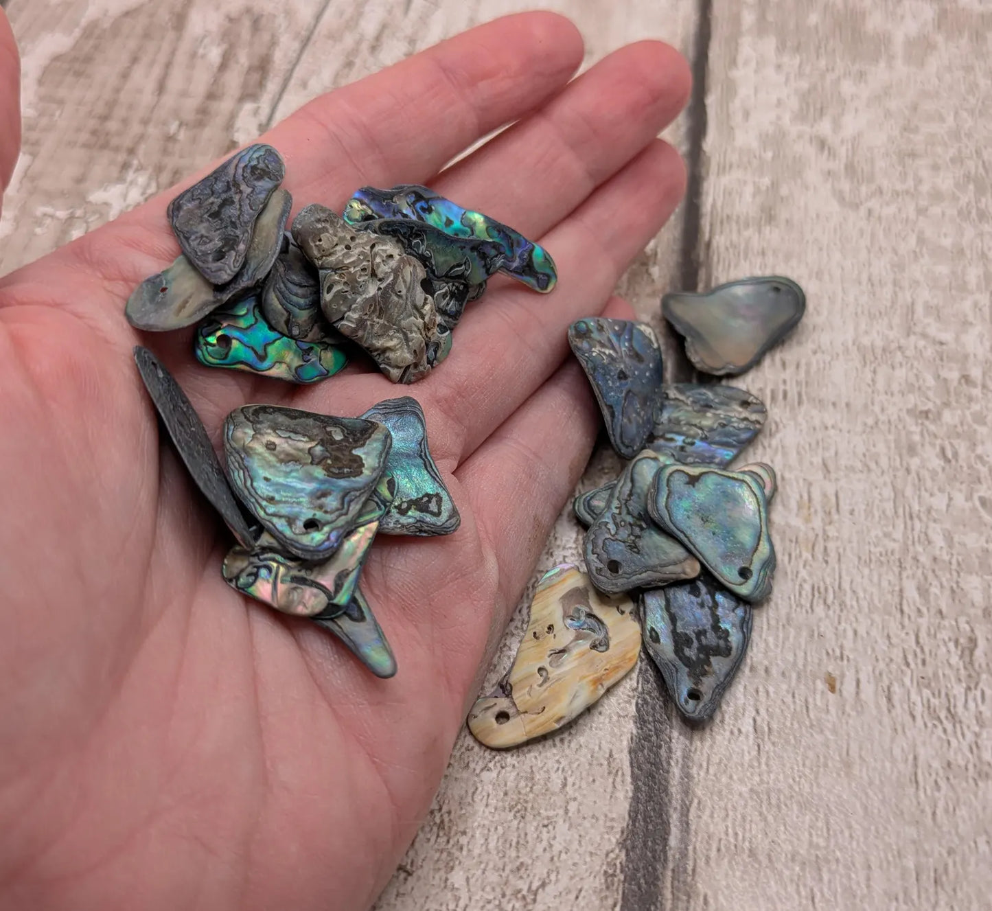 20 New Zealand wild rainbow Pāua unpolished satin abalone beads