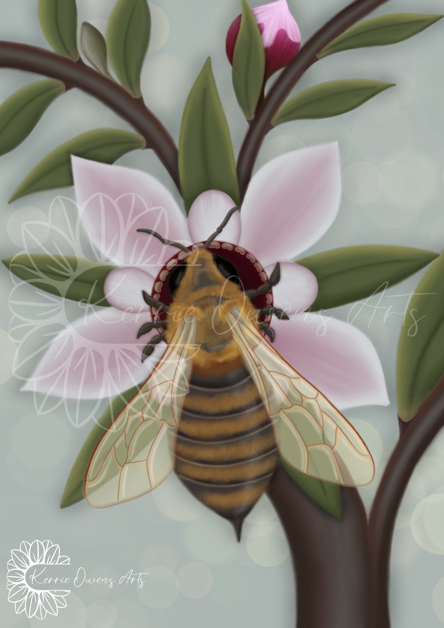 Honey bee on manuka flower poster print.