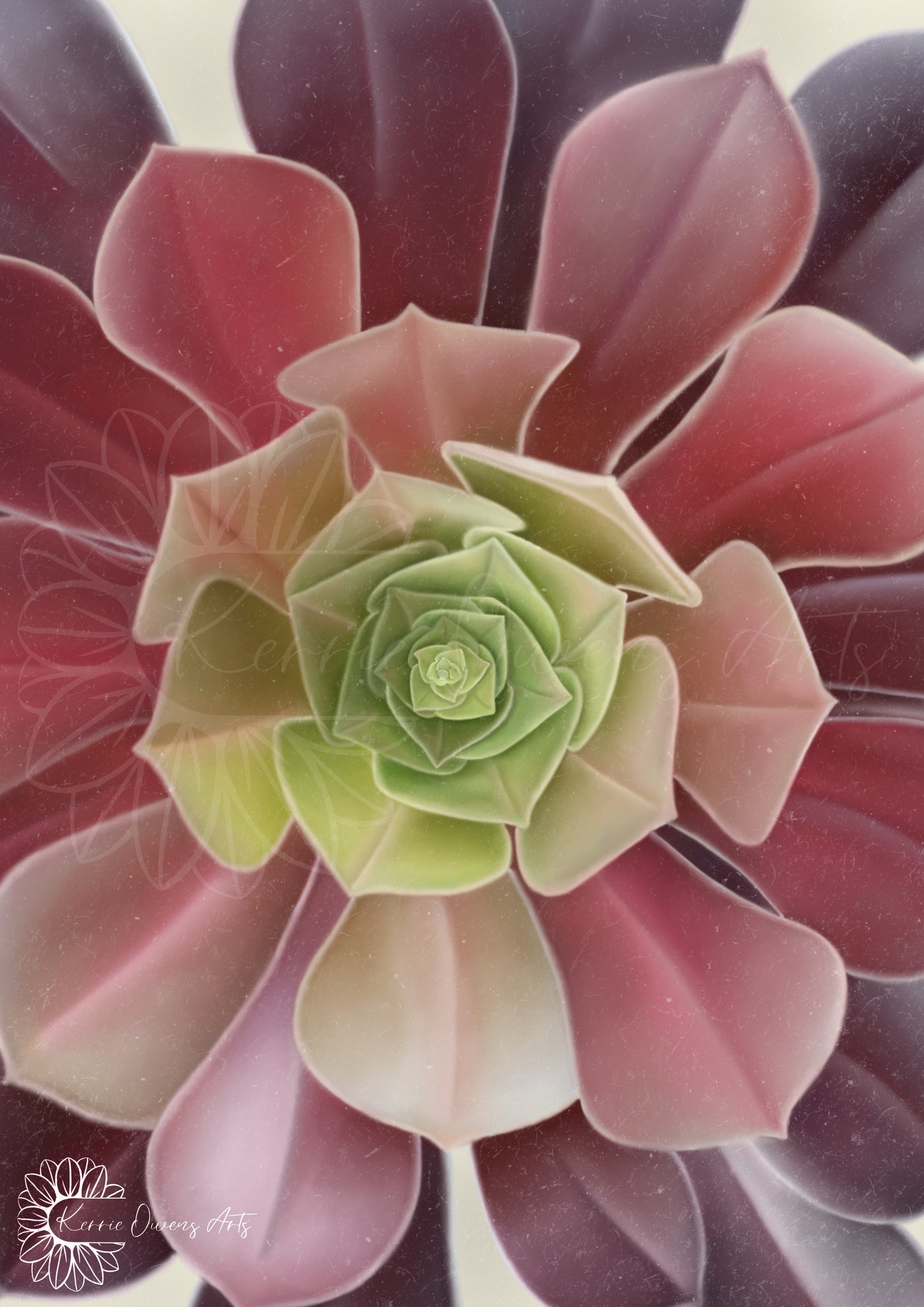 Green to purple ombre succulent up close poster print.