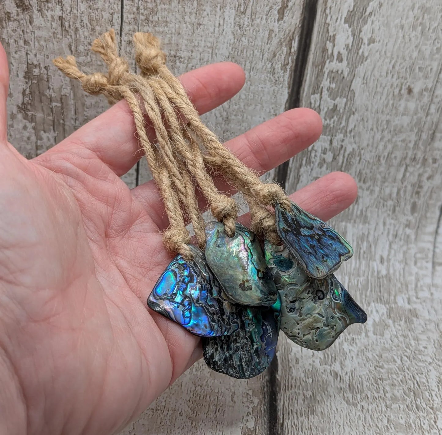 5 pack New Zealand Rainbow Pāua shell seasonal hanging tree decorations.