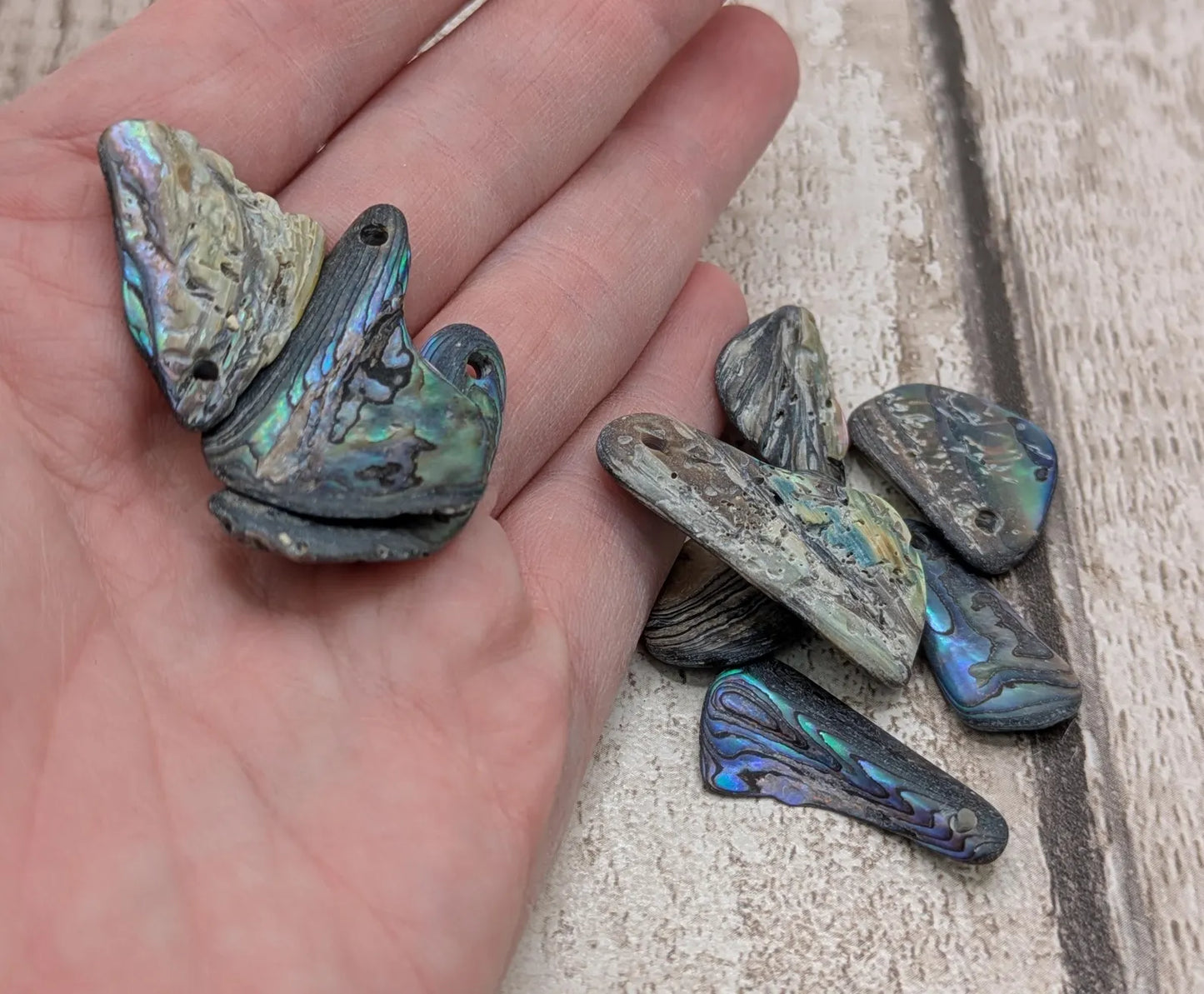 10 unpolished Rainbow wild beach combed NZ Pāua Shell Beads – Top-Drilled Natural Abalone for Jewelry Making & Art Projects.