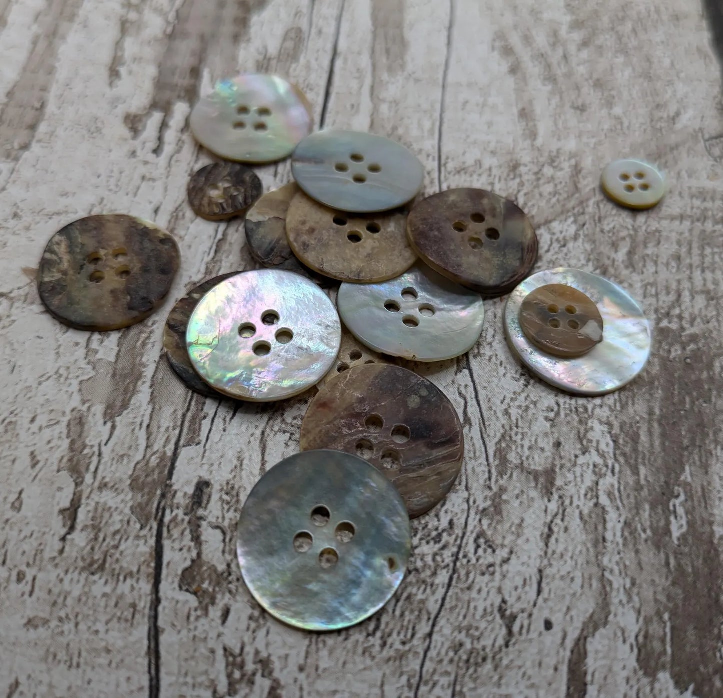 Large abalone shell buttons.