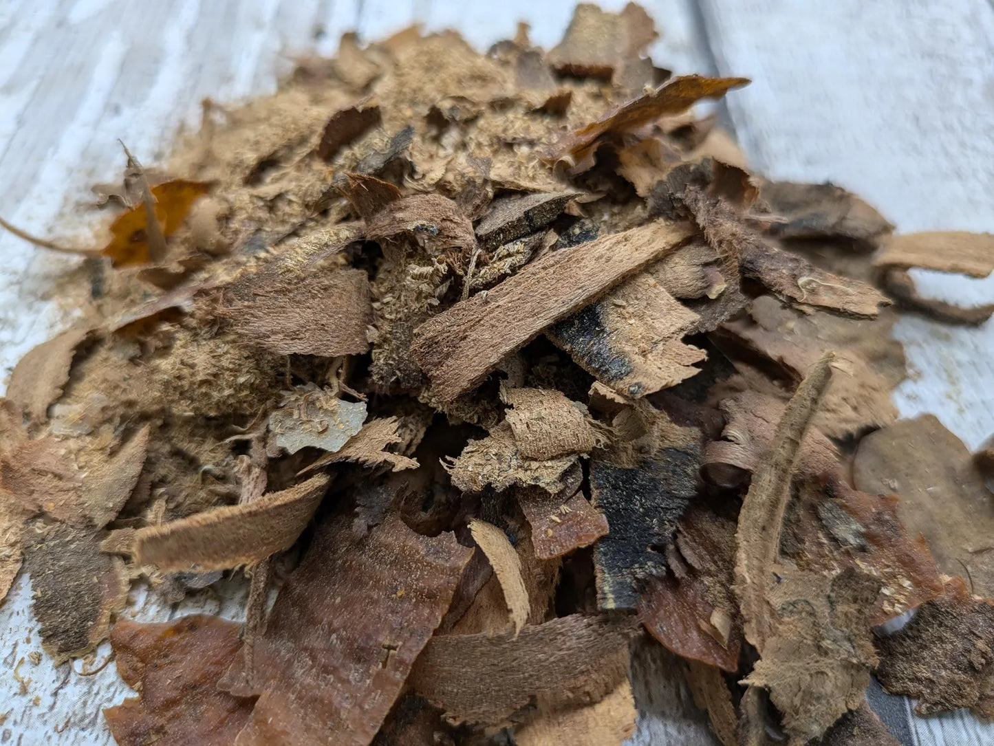 Laburnum wood bark and shavings.