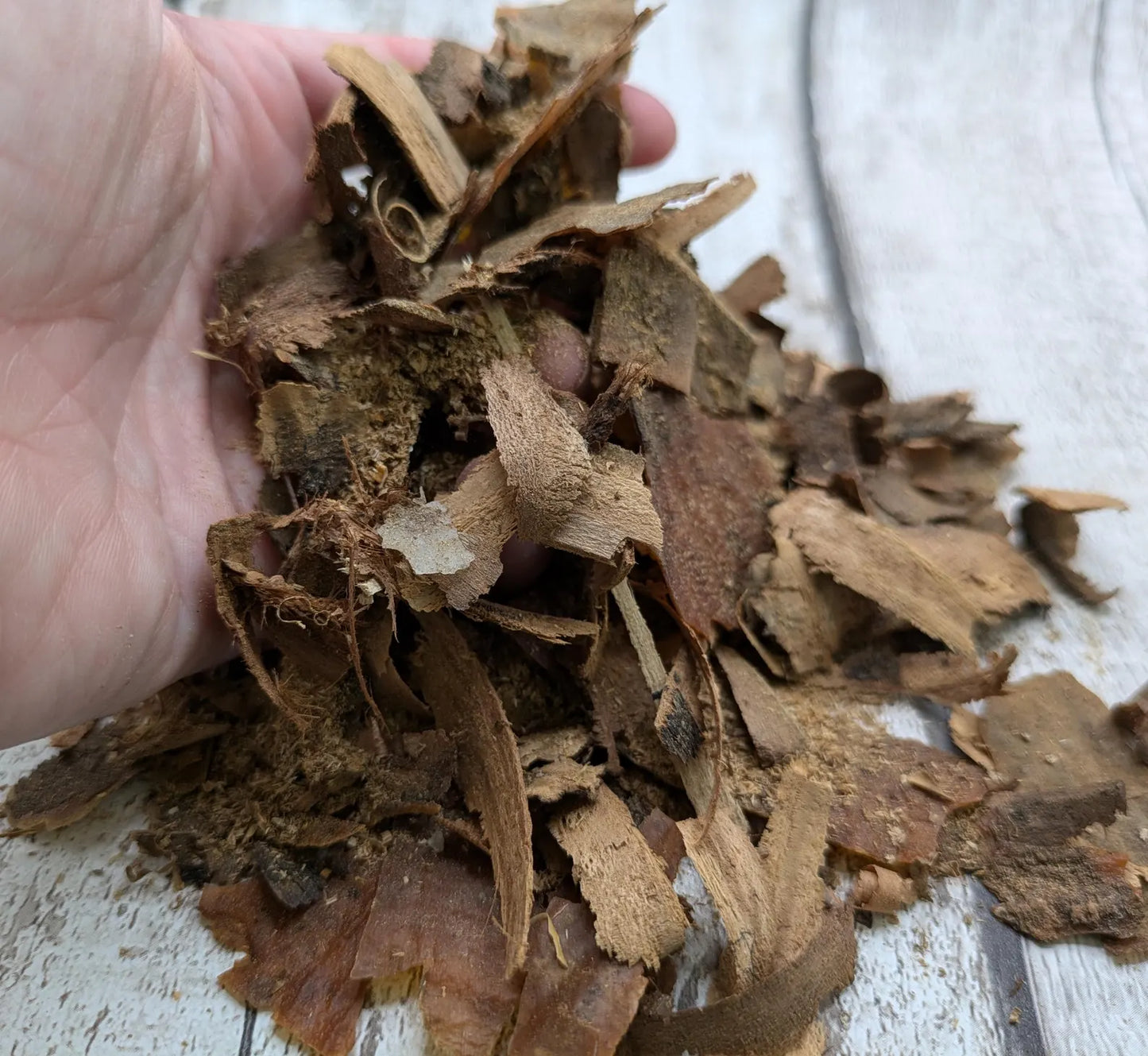Laburnum wood bark and shavings.