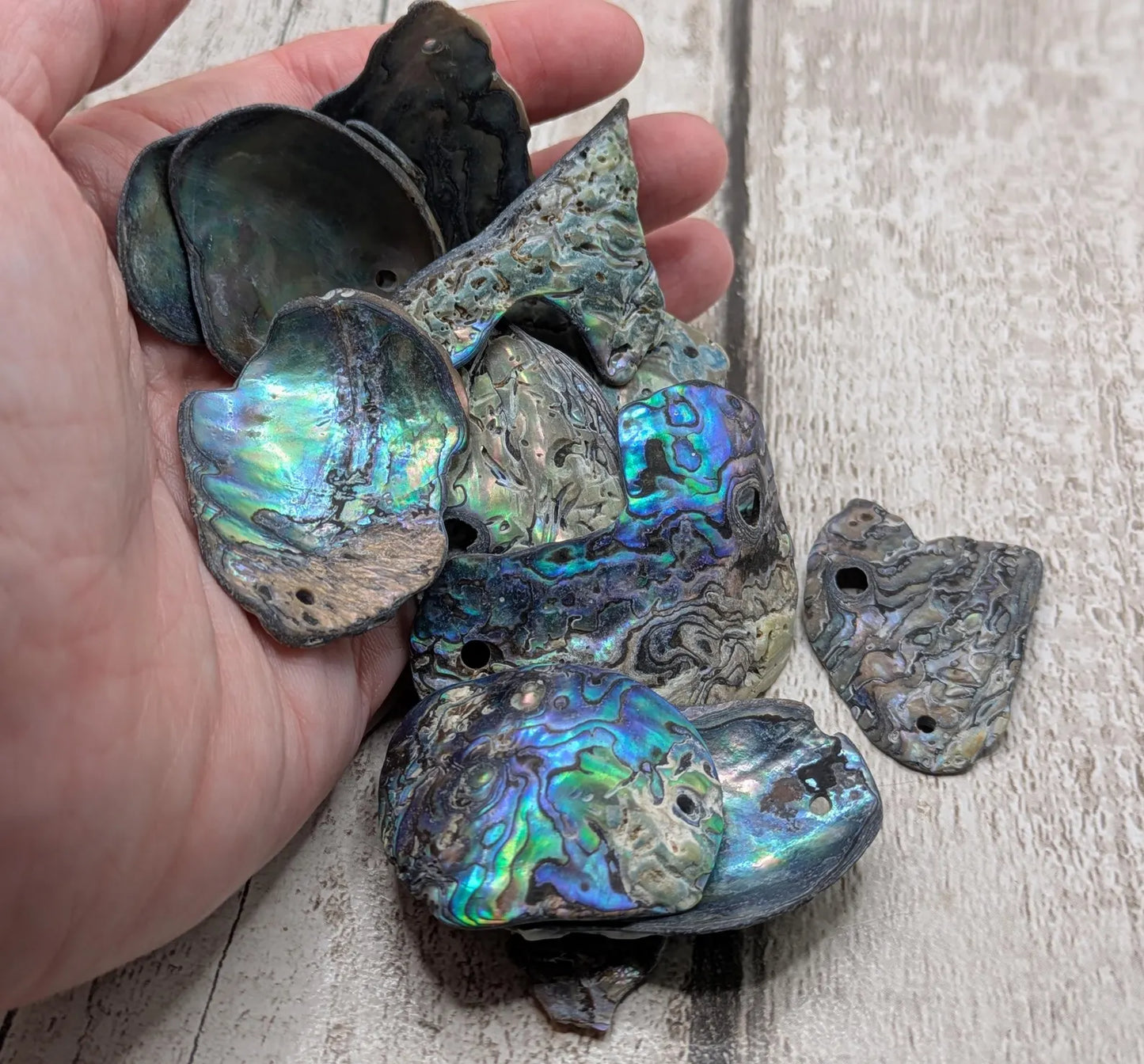 15 naturally tumbled New Zealand rainbow Pāua shell beads.