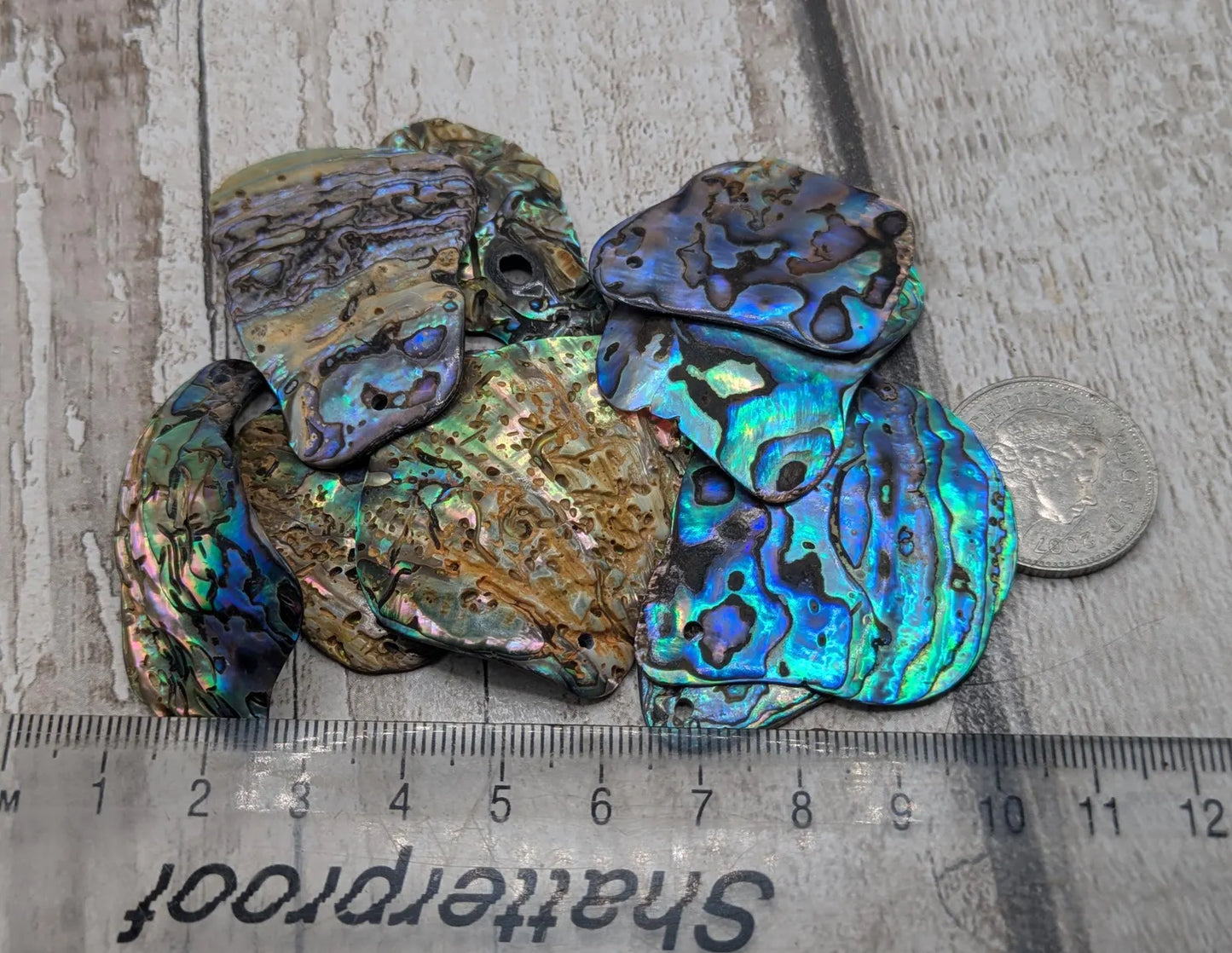 10 Rainbow NZ Pāua Shell Beads – Top-Drilled Natural Abalone for Jewelry Making & Art Projects.