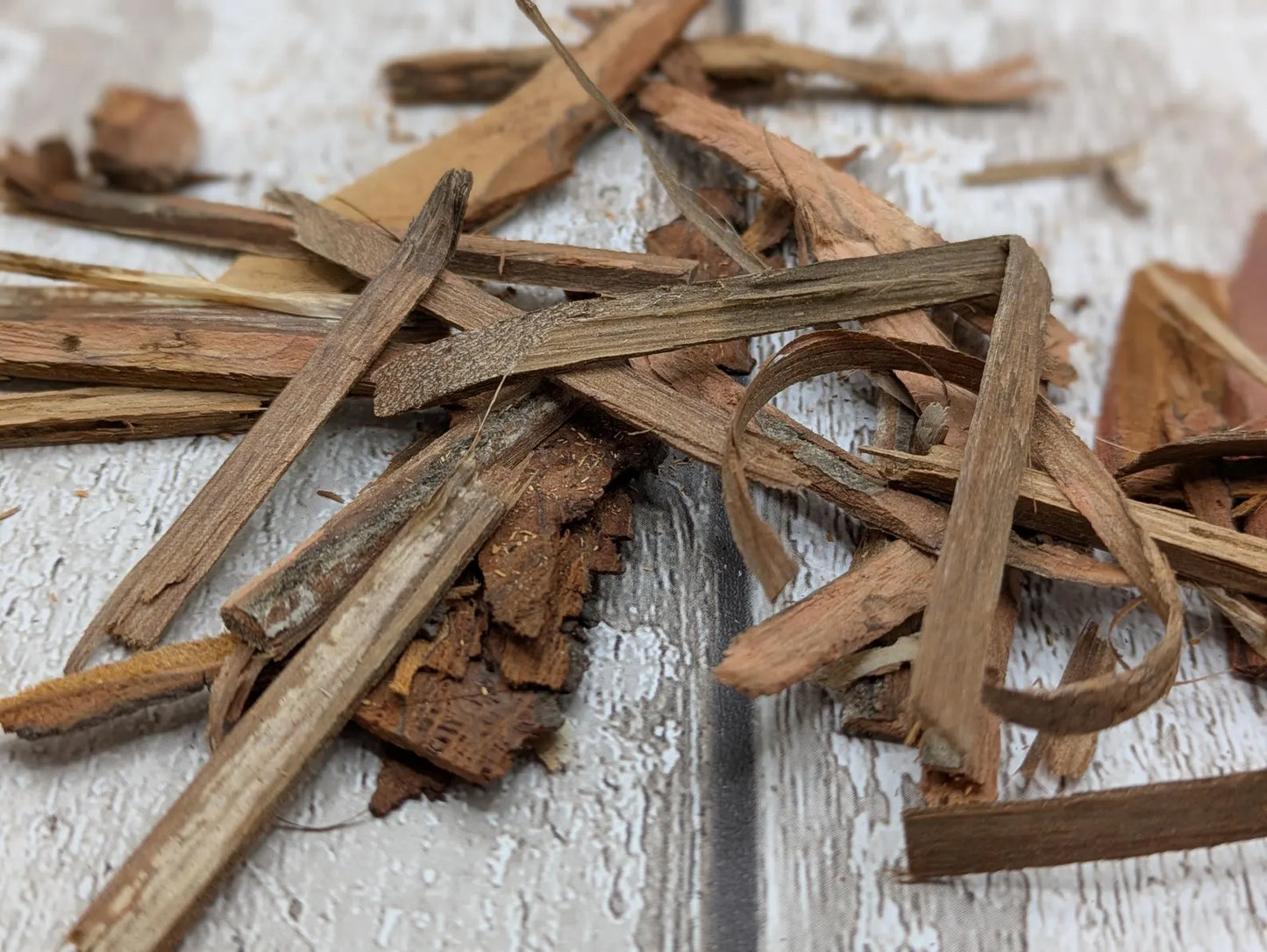 Mixed species wood bark for spell and ritual work or camping kindling.