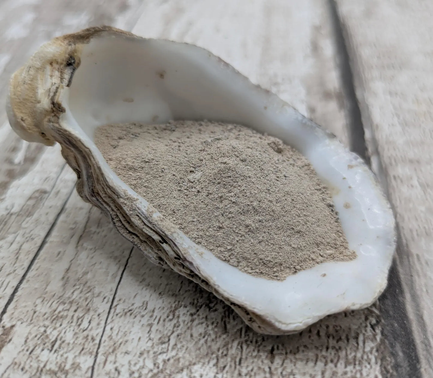 Unrefined powdered brown periwinkle shell paint pigment.
