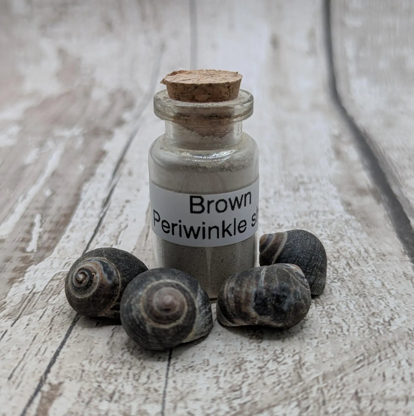 Unrefined powdered brown periwinkle shell paint pigment.