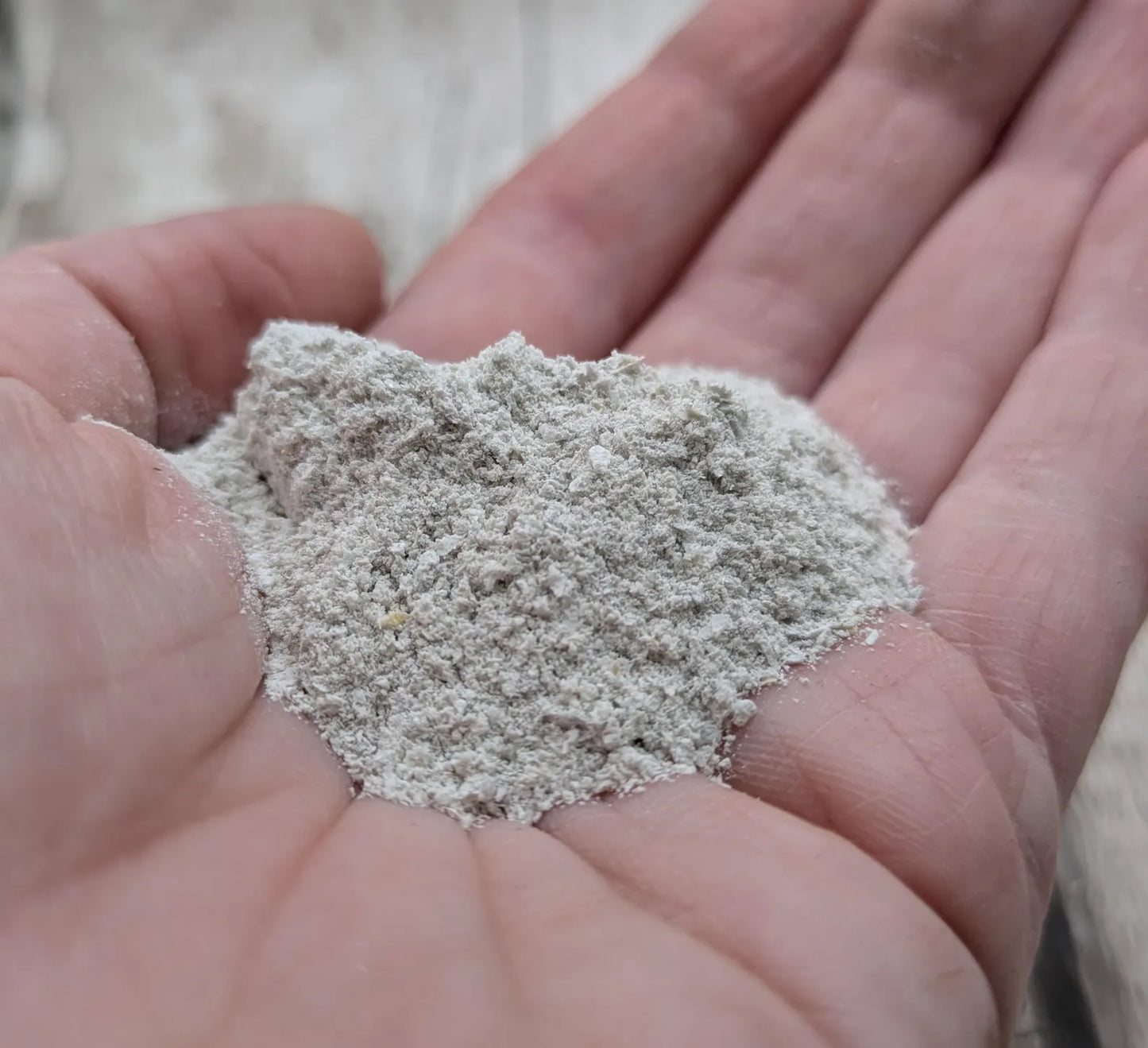 unrefined Pacific Oyster powder pigment with purple tint.