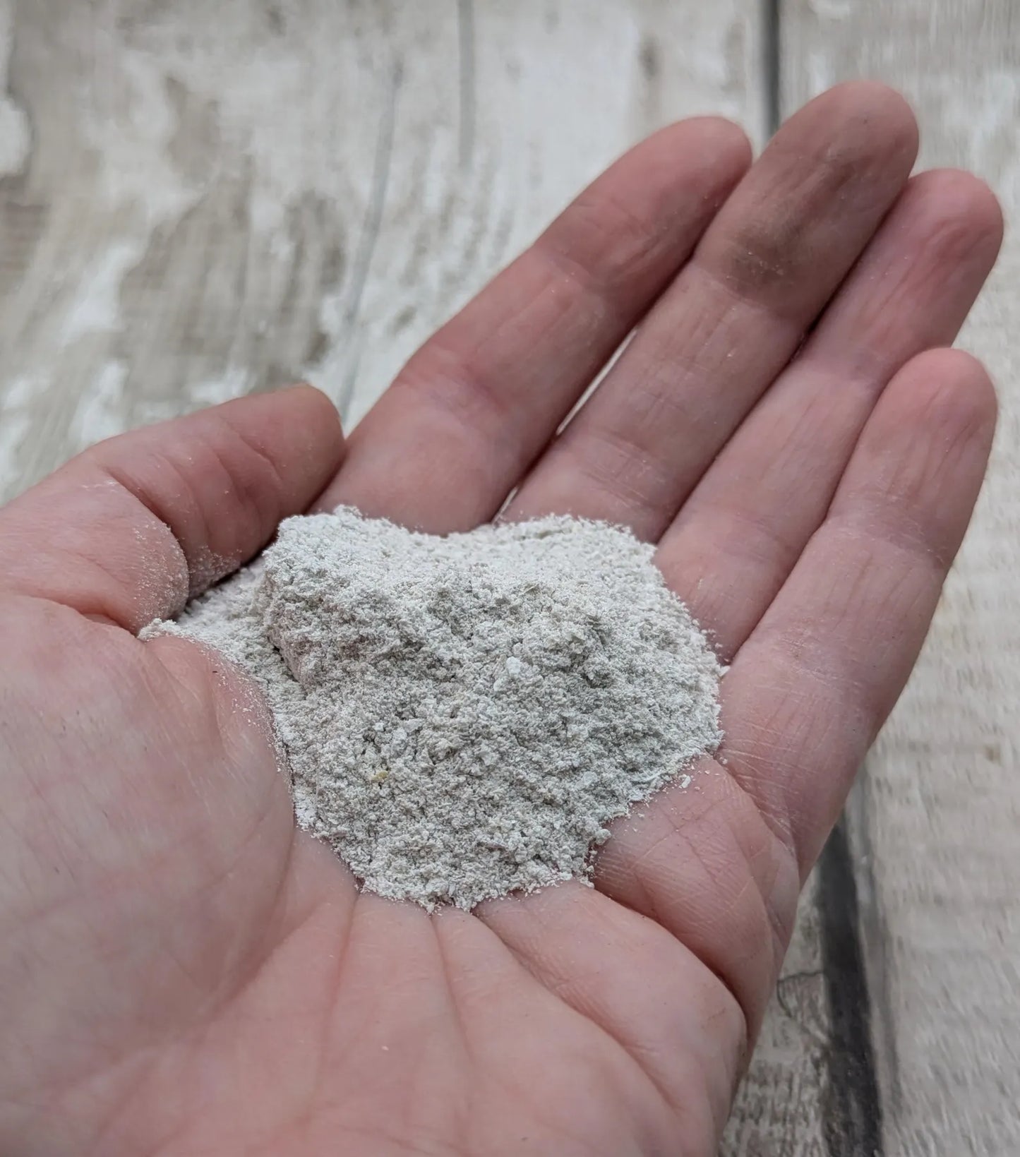 unrefined Pacific Oyster powder pigment with purple tint.