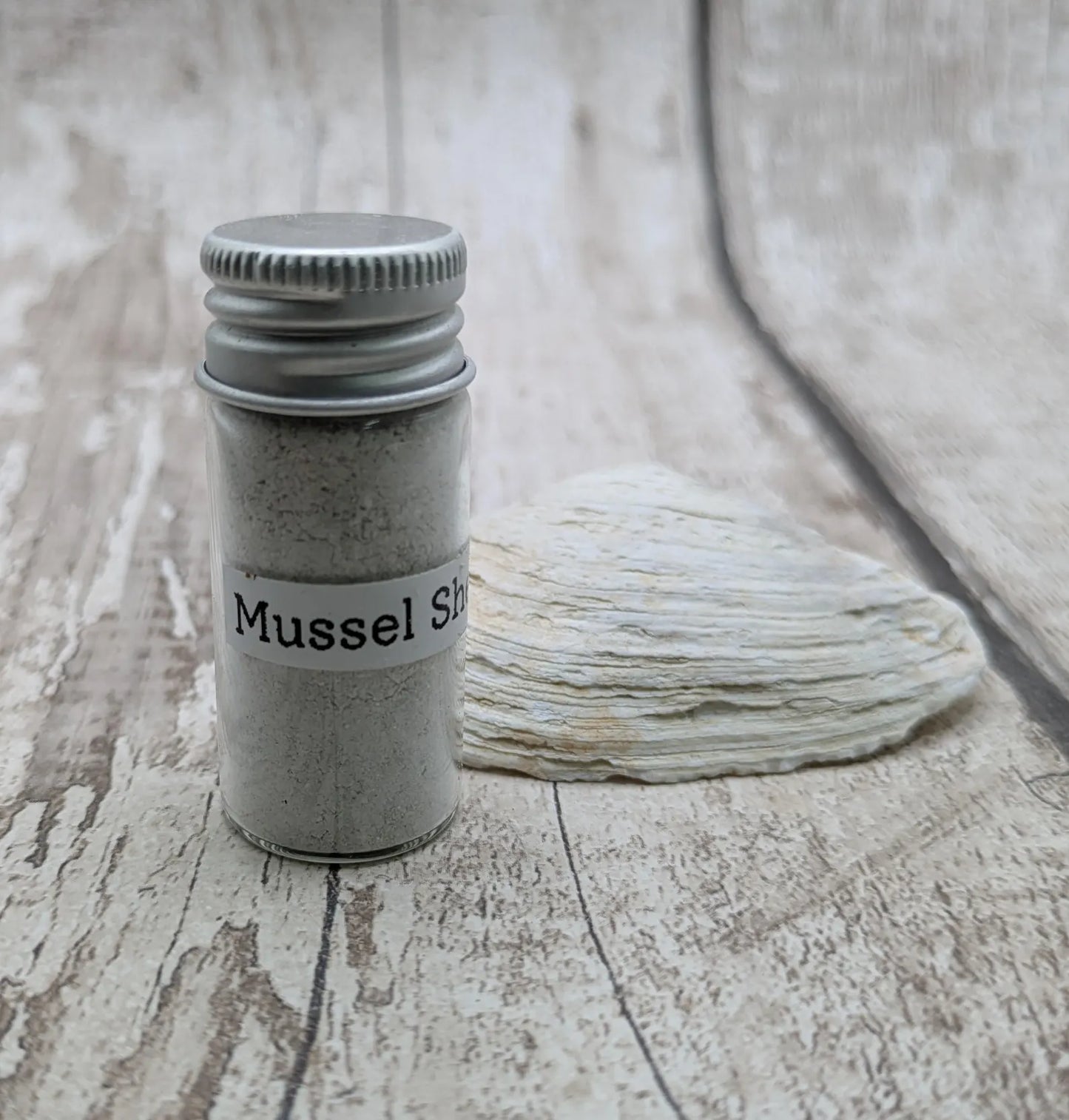 Fine Ground White Mussel Shell Powder – Ultra-Fine Natural Pigment for Paints, Inlays & Rituals.