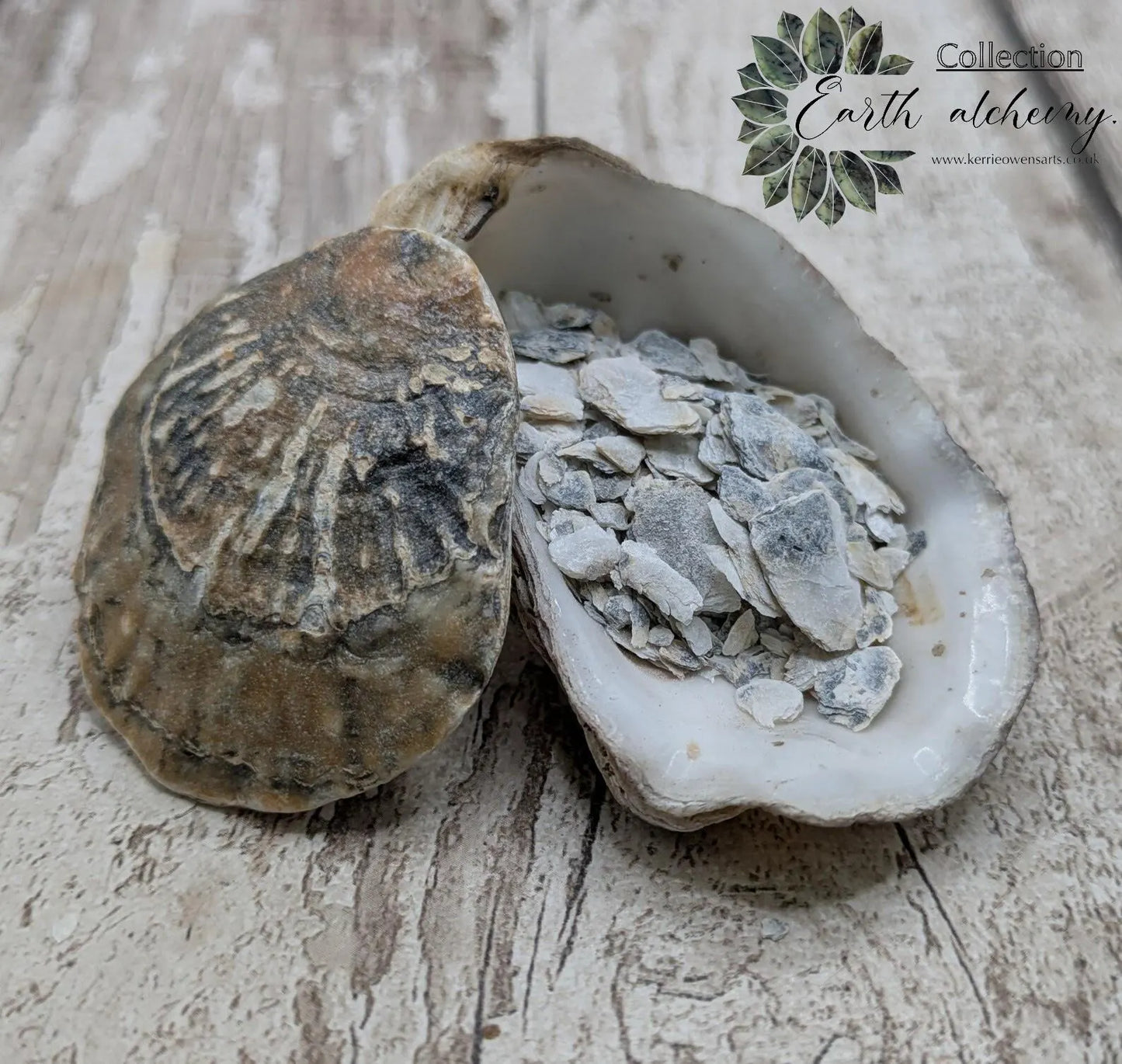 Coarse Ground Native Oyster Shell Powder – Natural Unrefined Pigment & Inlay Material – 10ml Glass Vial