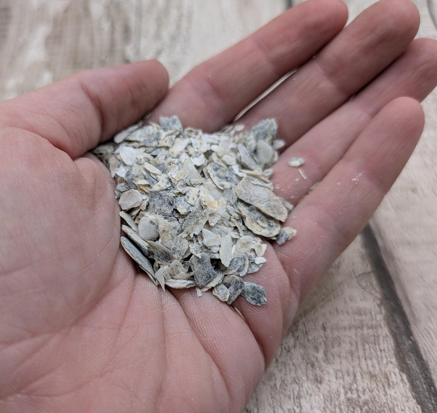 Coarse Ground Native Oyster Shell Powder – Natural Unrefined Pigment & Inlay Material – 10ml Glass Vial