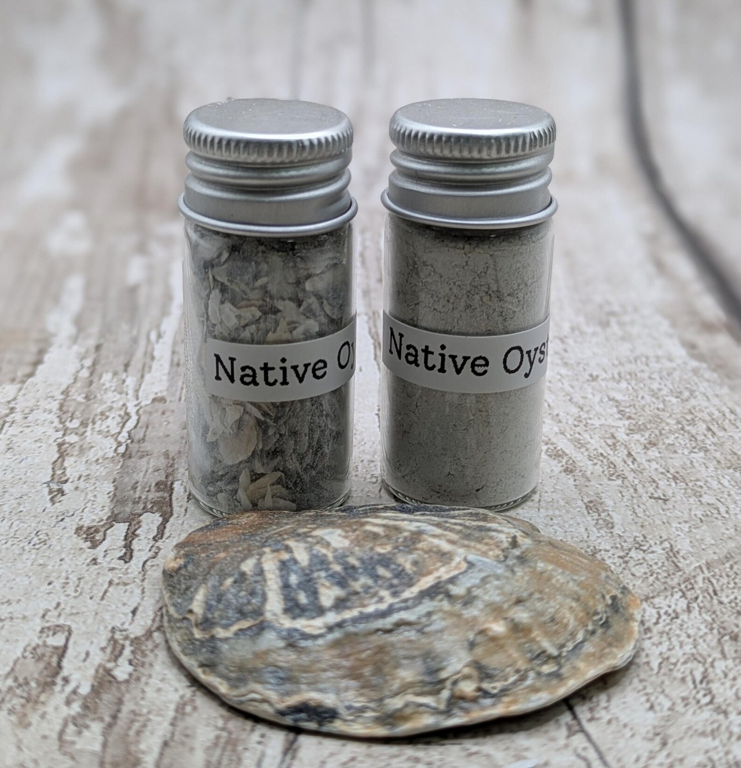 Coarse Ground Native Oyster Shell Powder – Natural Unrefined Pigment & Inlay Material – 10ml Glass Vial