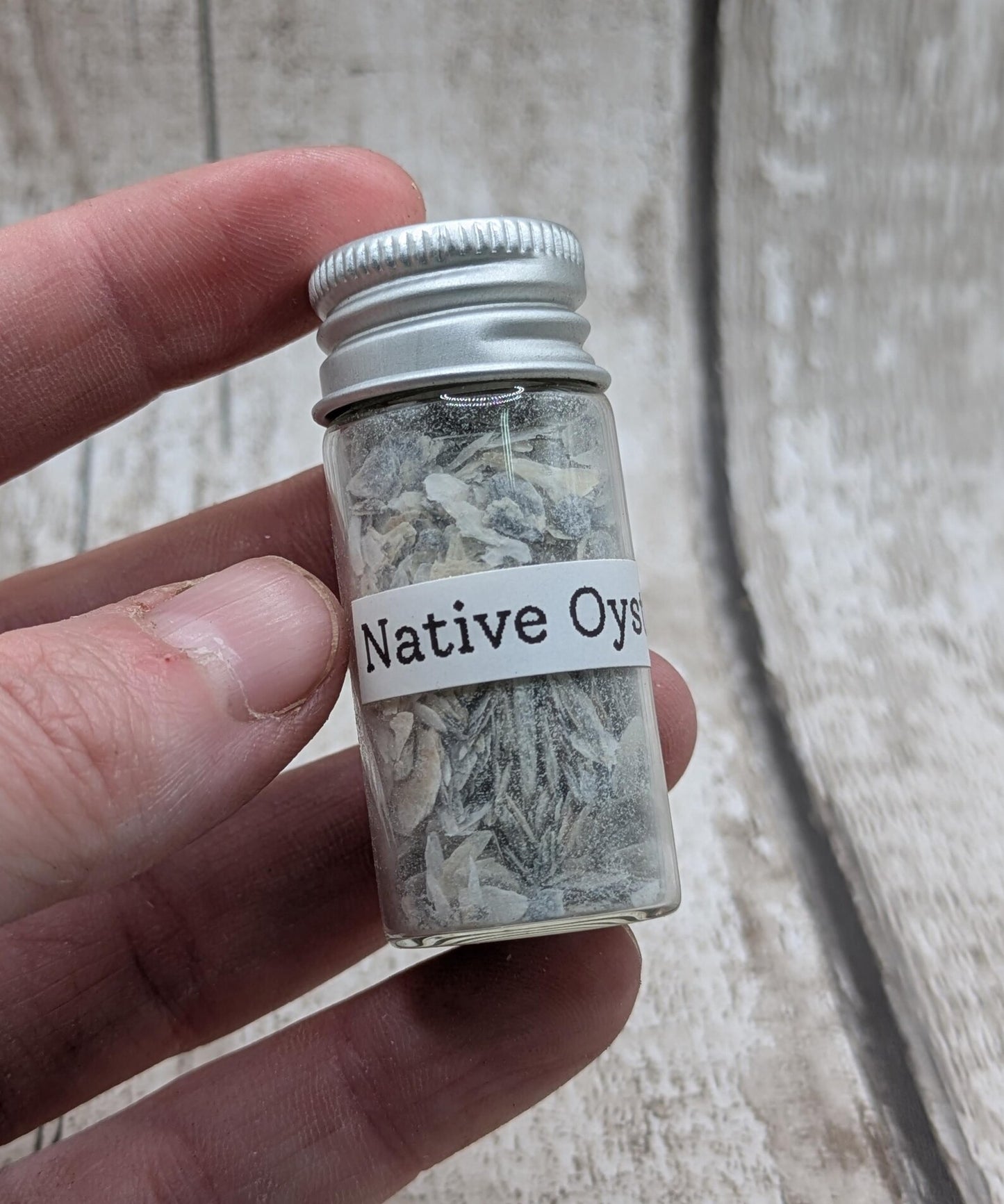Coarse Ground Native Oyster Shell Powder – Natural Unrefined Pigment & Inlay Material – 10ml Glass Vial