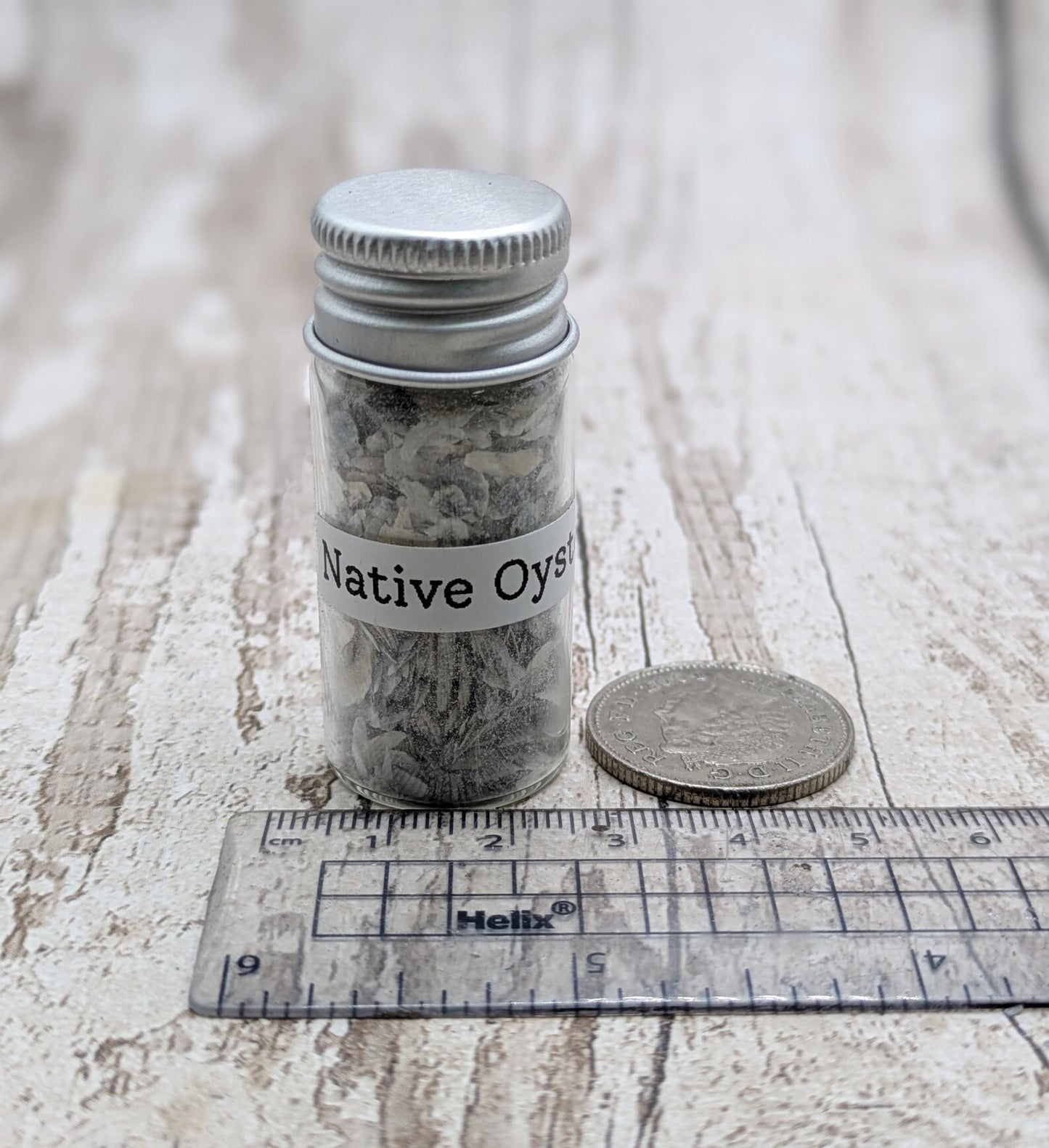 Coarse Ground Native Oyster Shell Powder – Natural Unrefined Pigment & Inlay Material – 10ml Glass Vial