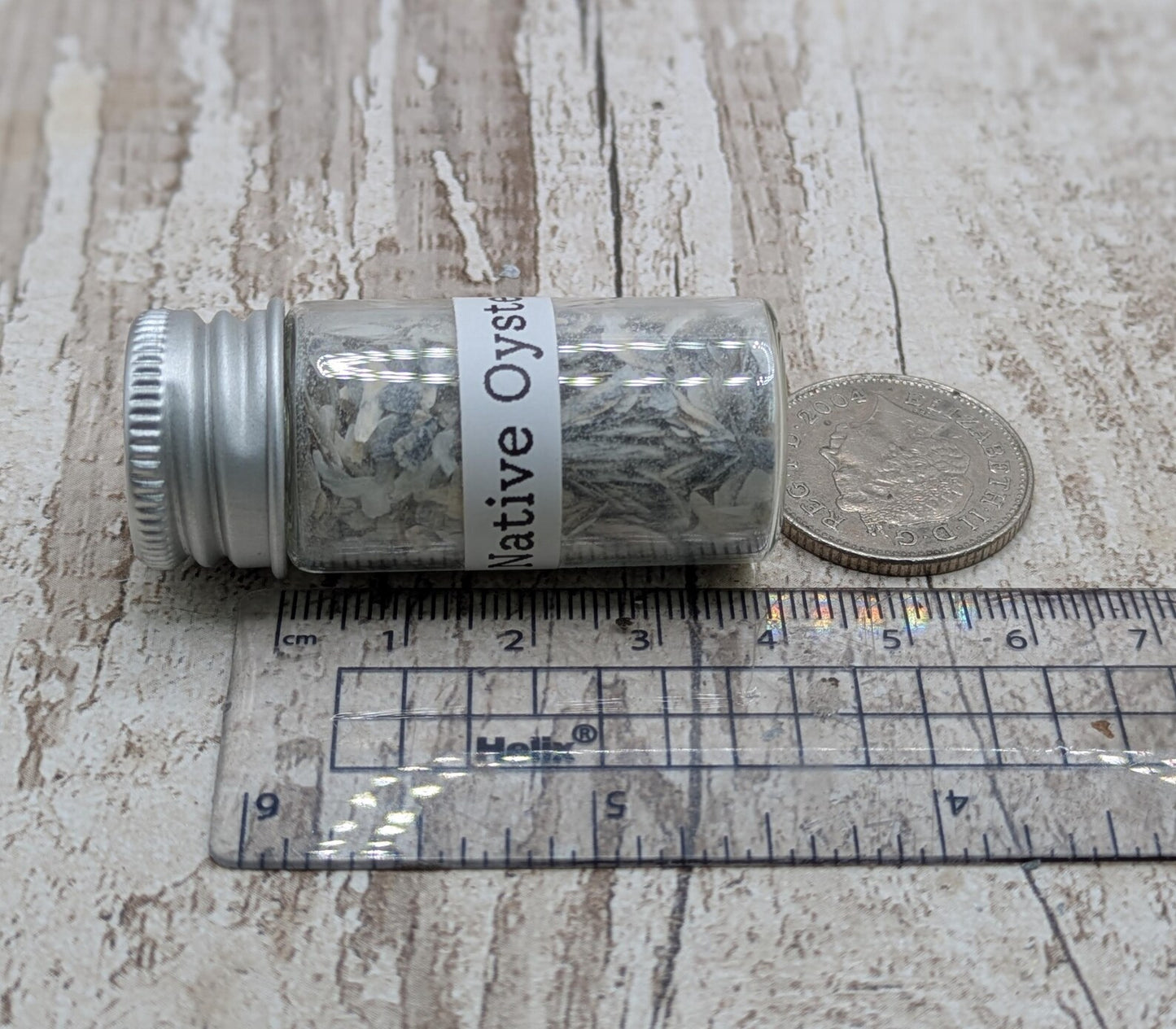 Coarse Ground Native Oyster Shell Powder – Natural Unrefined Pigment & Inlay Material – 10ml Glass Vial